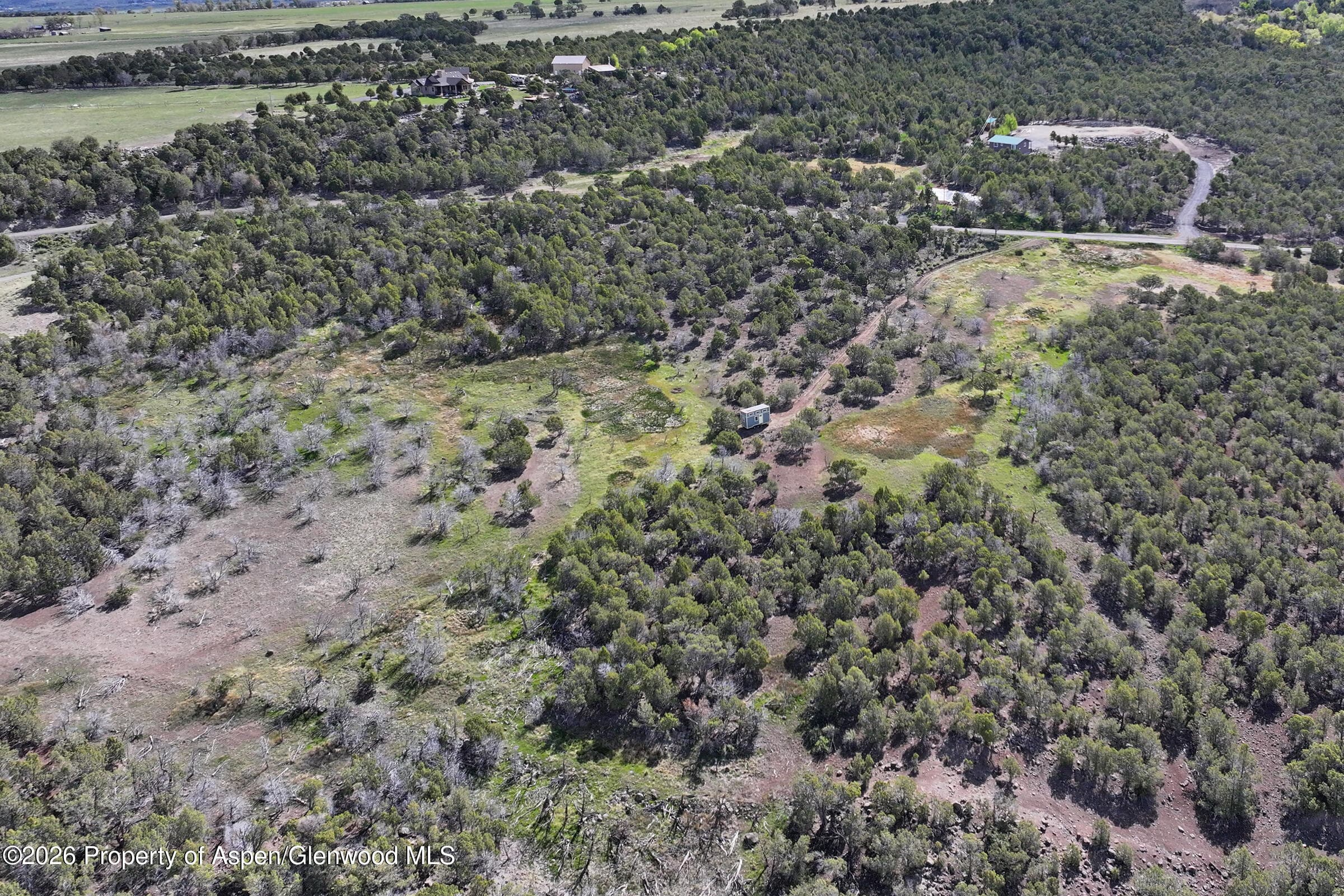 12705 55 Road, Collbran, CO 81624 - Photo 29