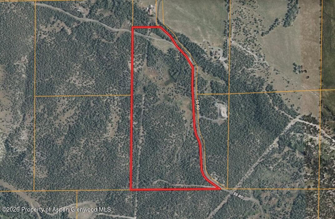 12705 55 Road, Collbran, CO 81624 - Photo 30