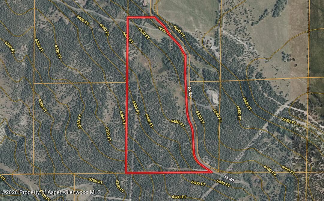 12705 55 Road, Collbran, CO 81624 - Photo 31