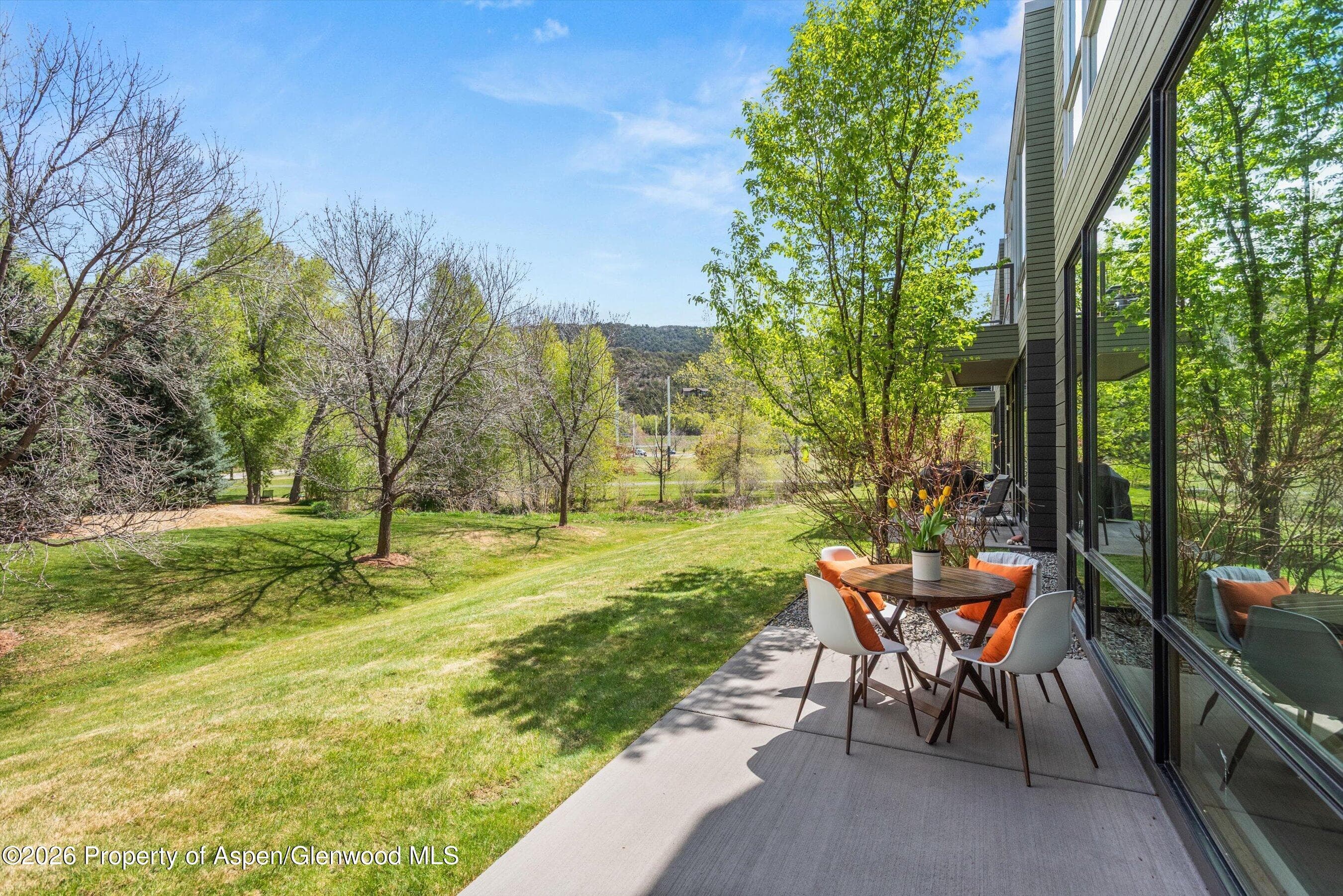 202 Evans Road 101, Basalt, CO 81621 - Photo 2