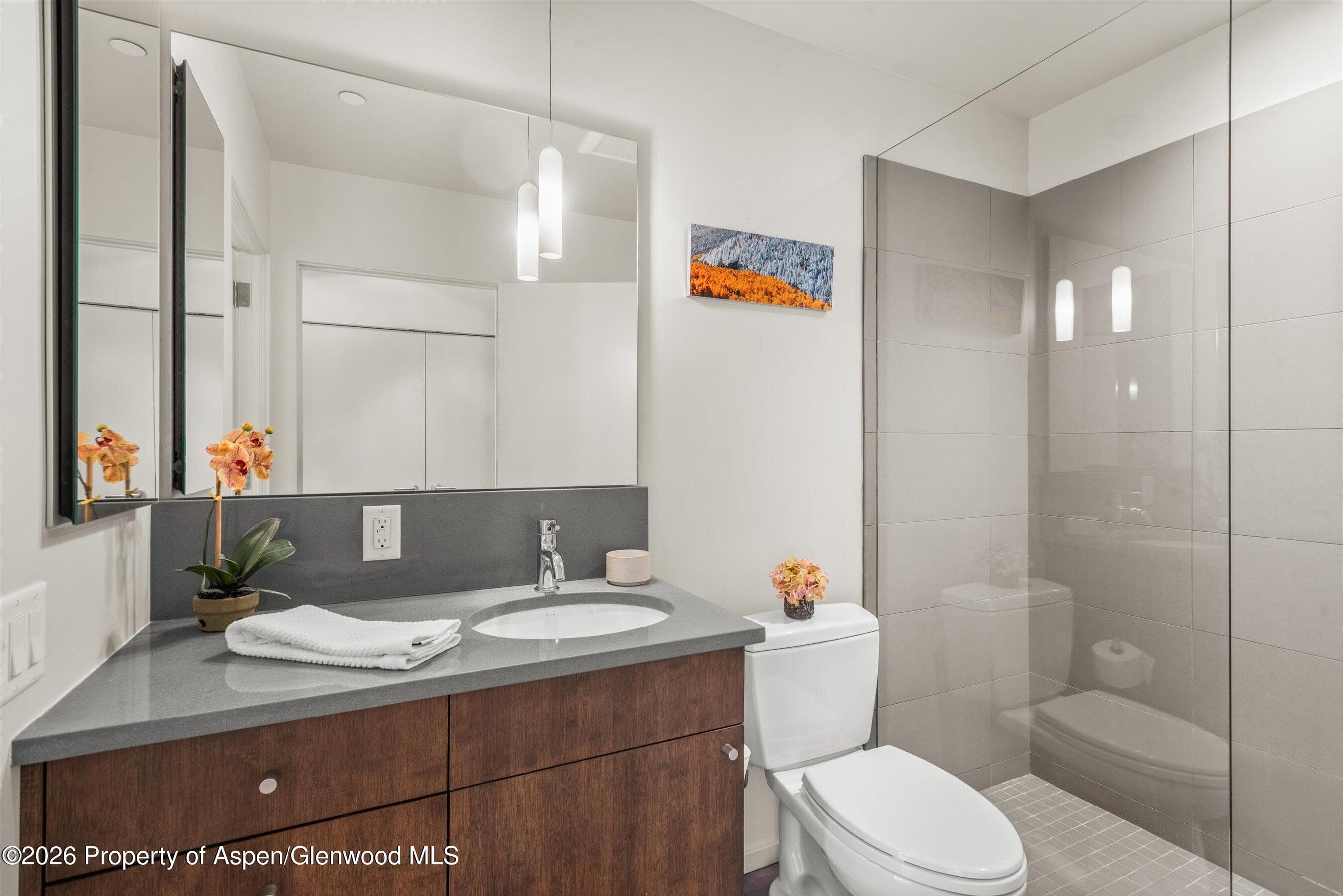 202 Evans Road 101, Basalt, CO 81621 - Photo 24