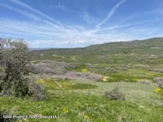101 Boulder Bypass, Craig, CO 81625 - Photo 2