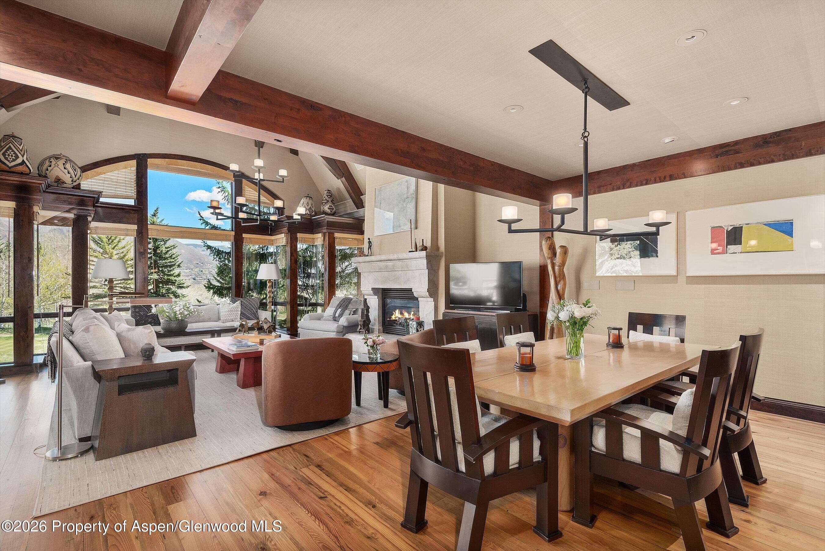 74 Pfister Drive 102, Aspen, CO 81611 - Photo 3