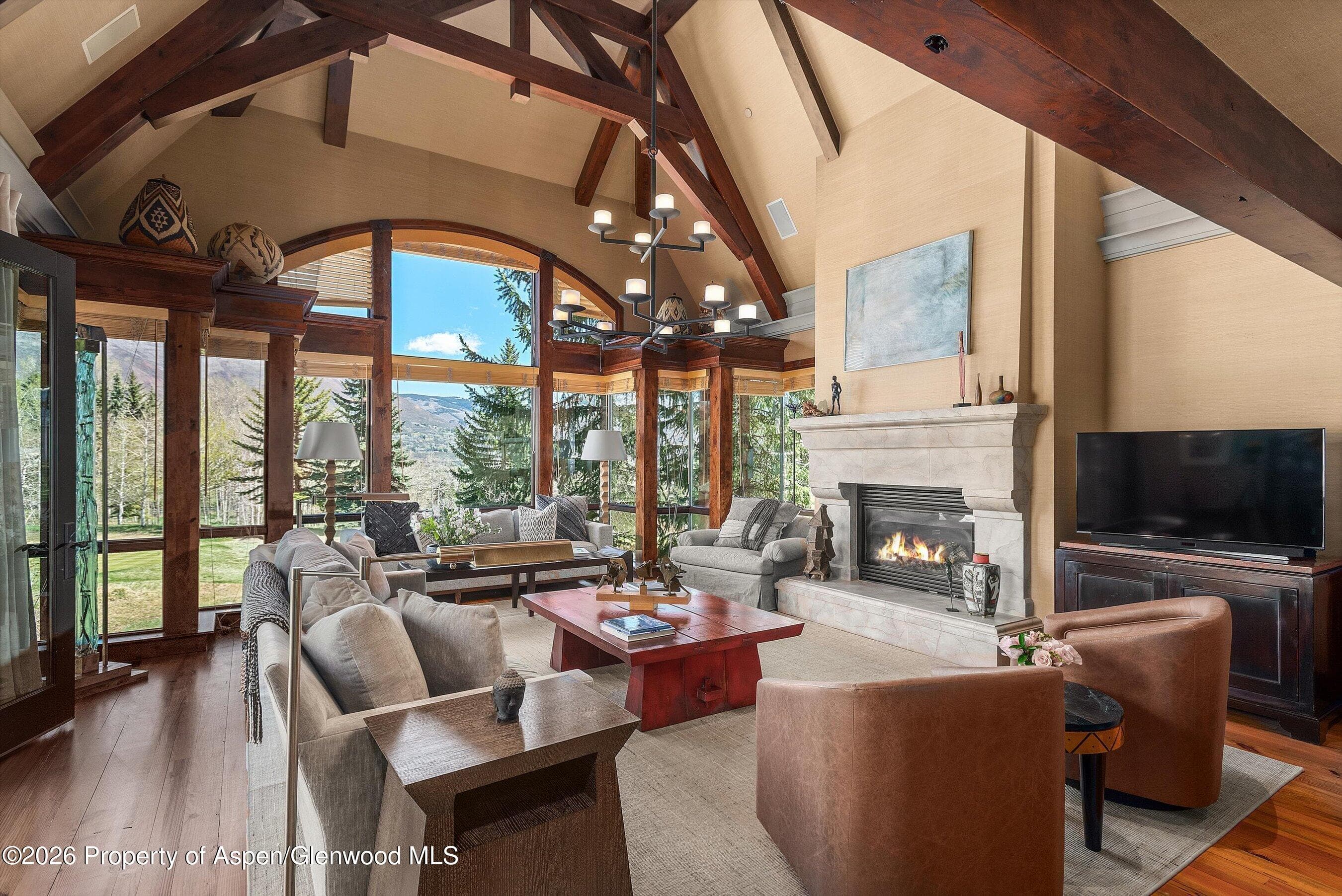 74 Pfister Drive 102, Aspen, CO 81611 - Photo 5