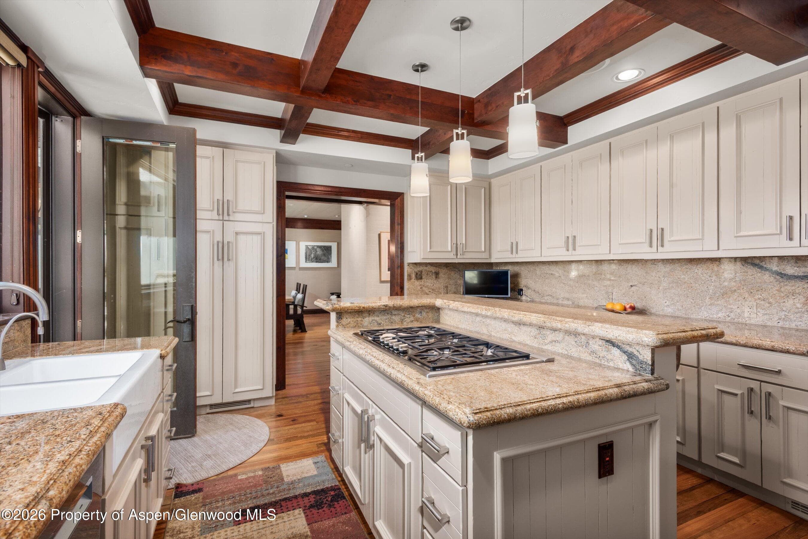 74 Pfister Drive 102, Aspen, CO 81611 - Photo 7