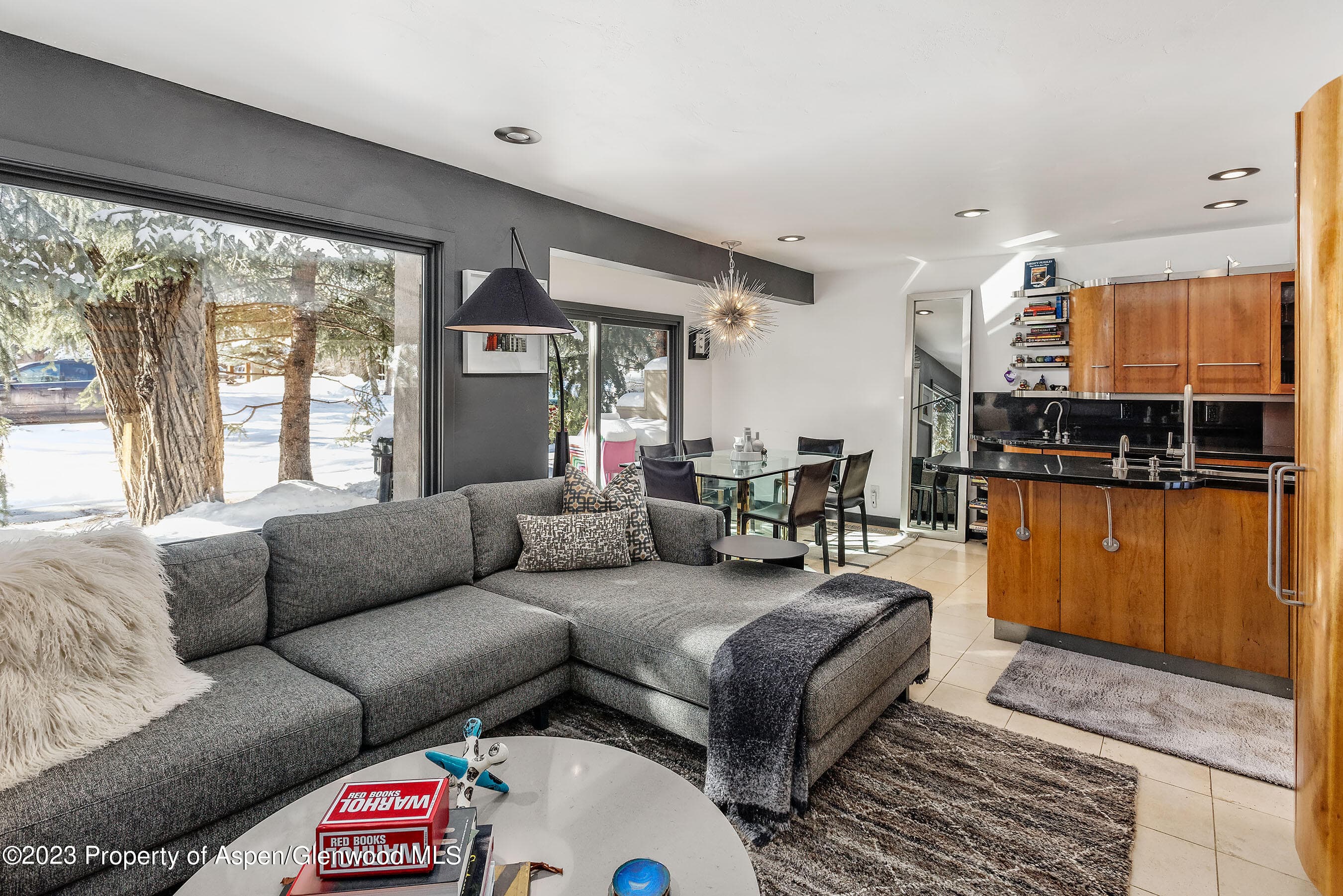 814 W Bleeker Street E4, Aspen, CO 81611 - Photo 5