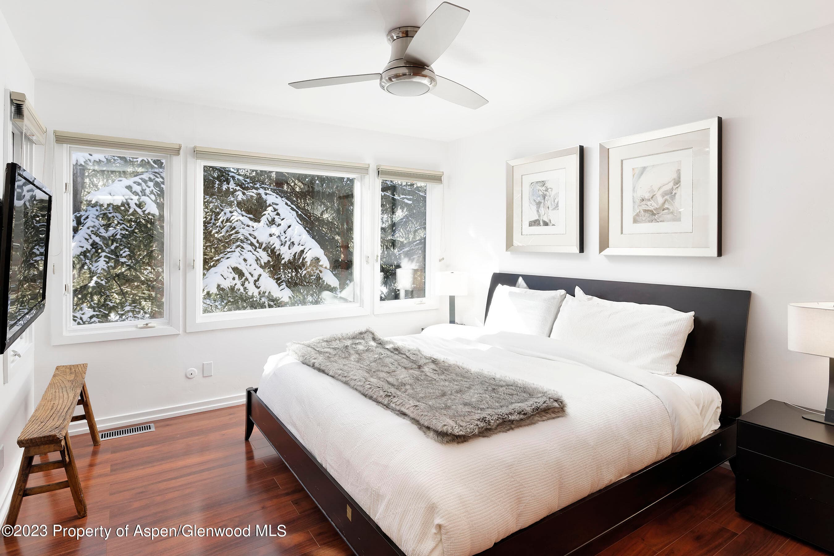 814 W Bleeker Street E4, Aspen, CO 81611 - Photo 9