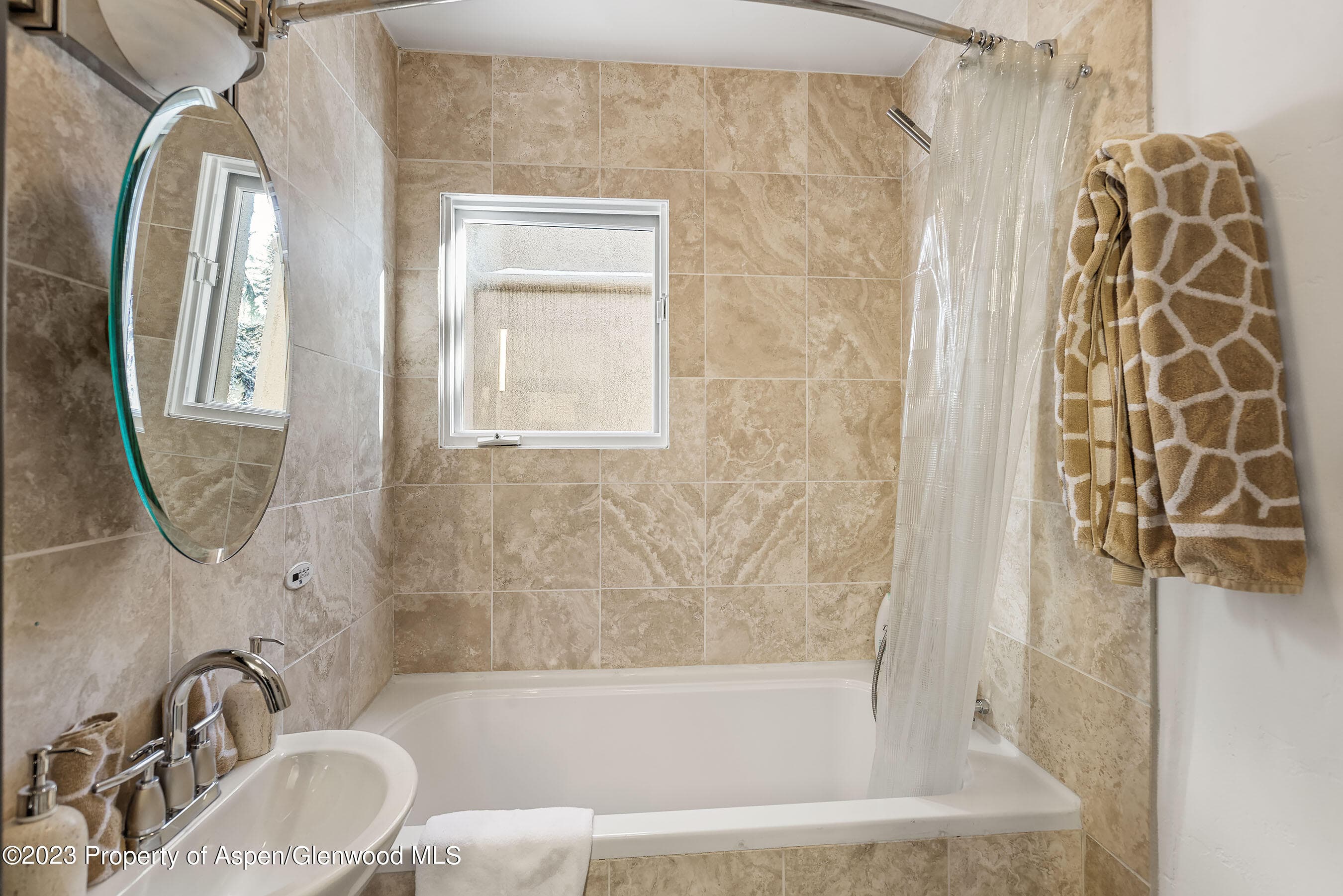 814 W Bleeker Street E4, Aspen, CO 81611 - Photo 13