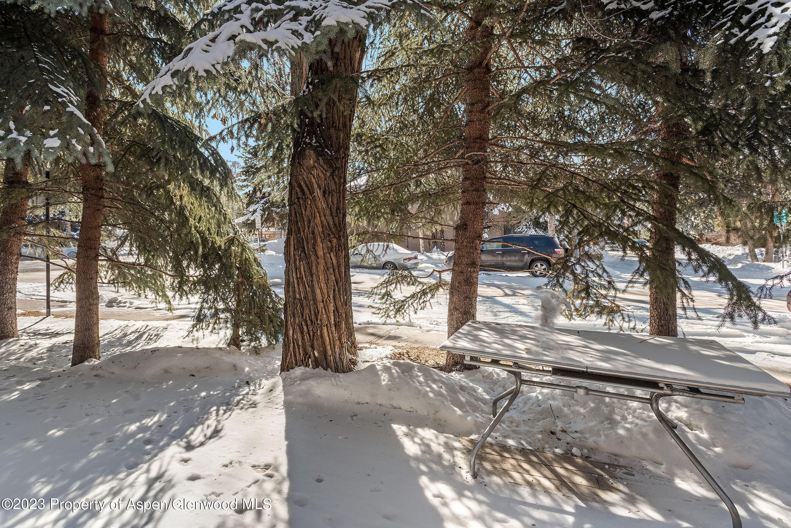 814 W Bleeker Street E4, Aspen, CO 81611 - Photo 15
