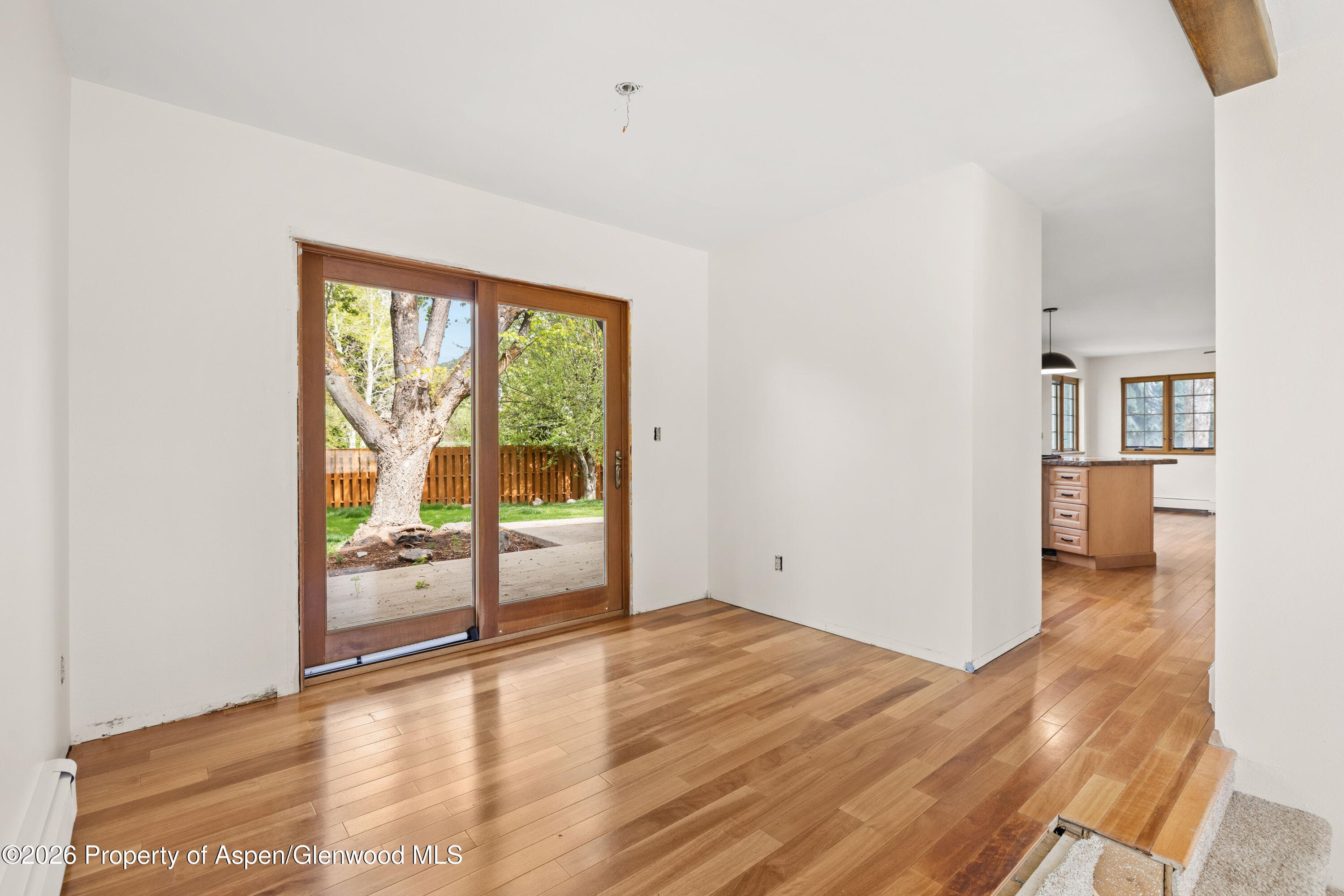 389 Rabbit Road, Carbondale, CO 81623 - Photo 9