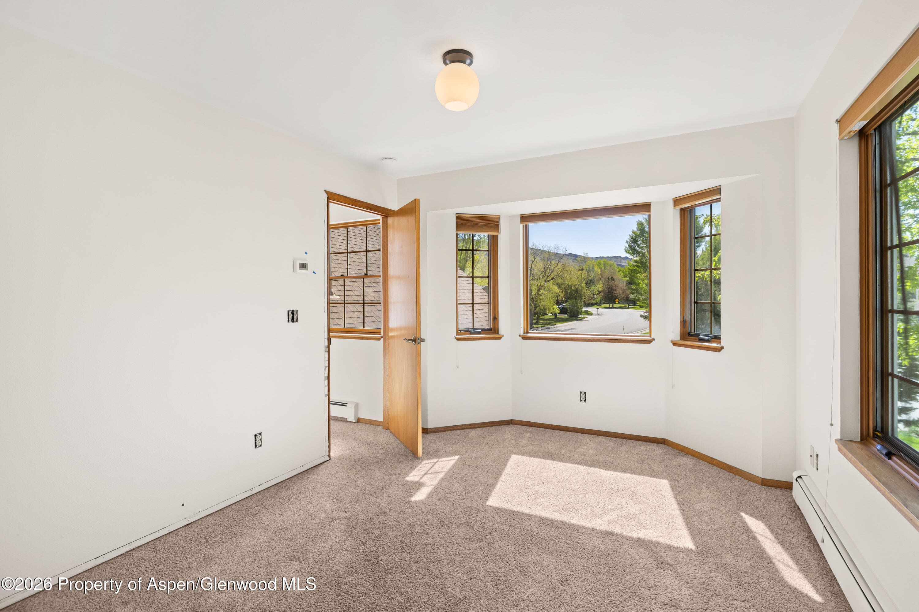 389 Rabbit Road, Carbondale, CO 81623 - Photo 10