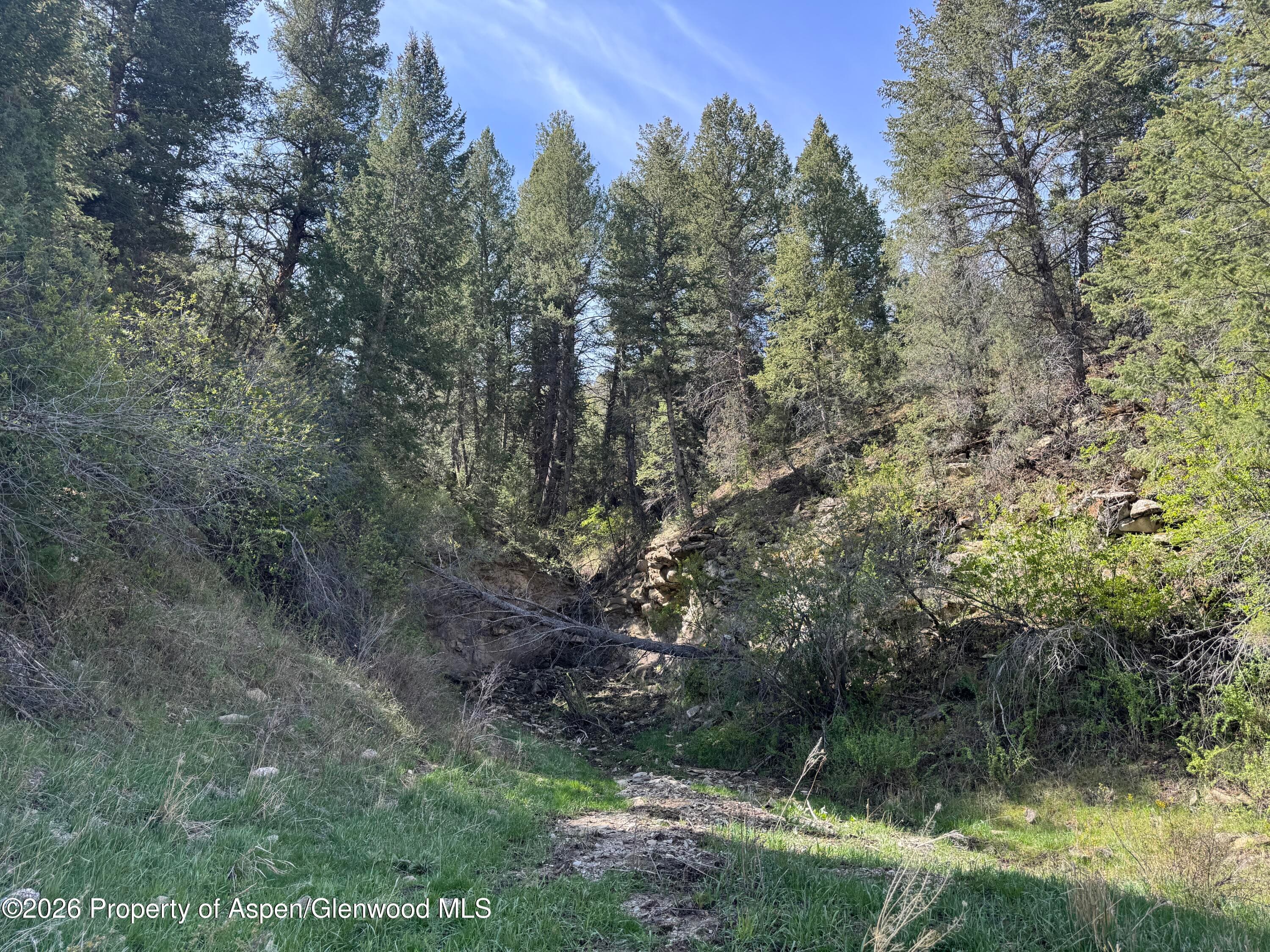 65061 Highway 64, Meeker, CO 81641 - Photo 41