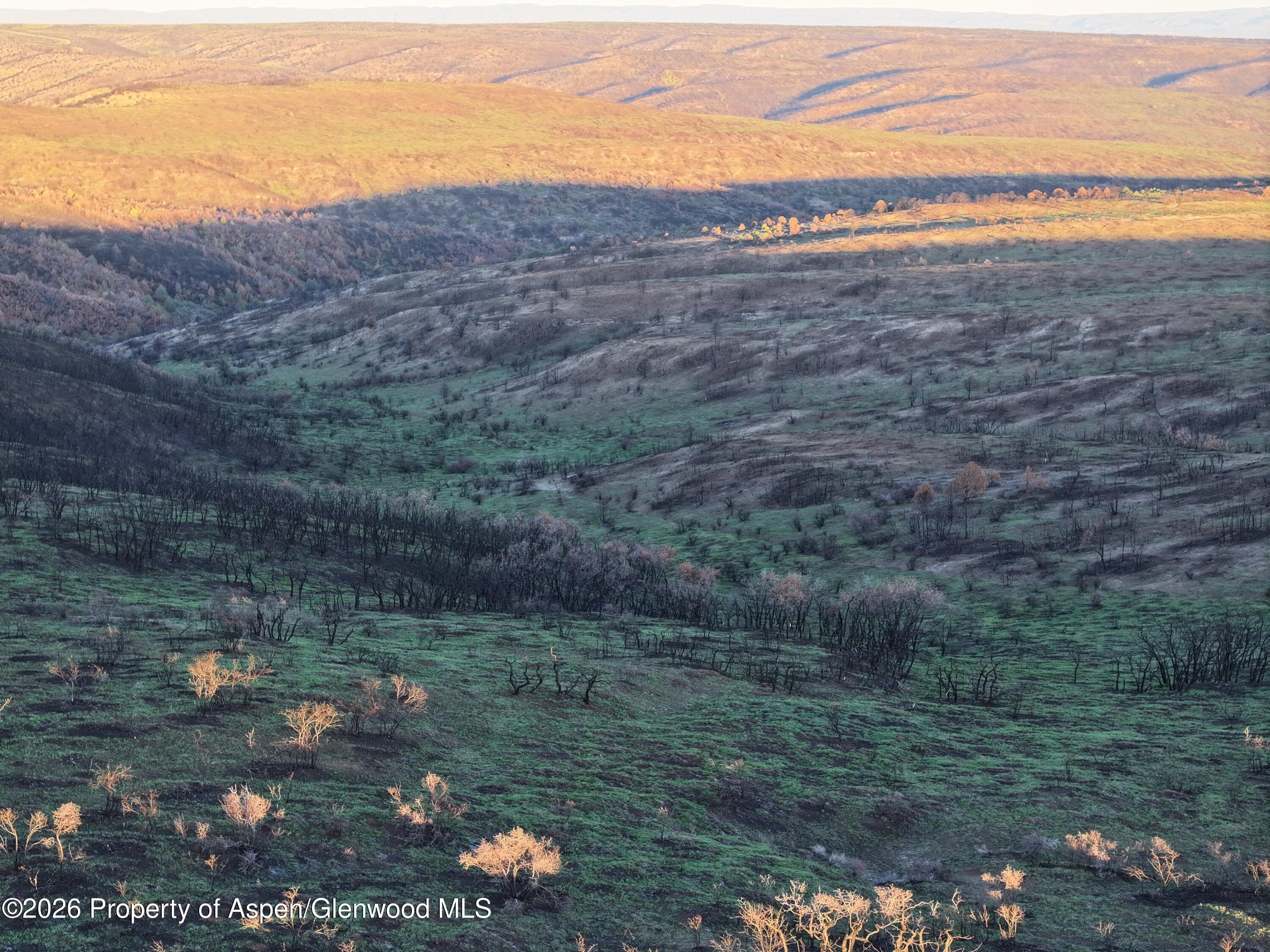 65061 Highway 64, Meeker, CO 81641 - Photo 45