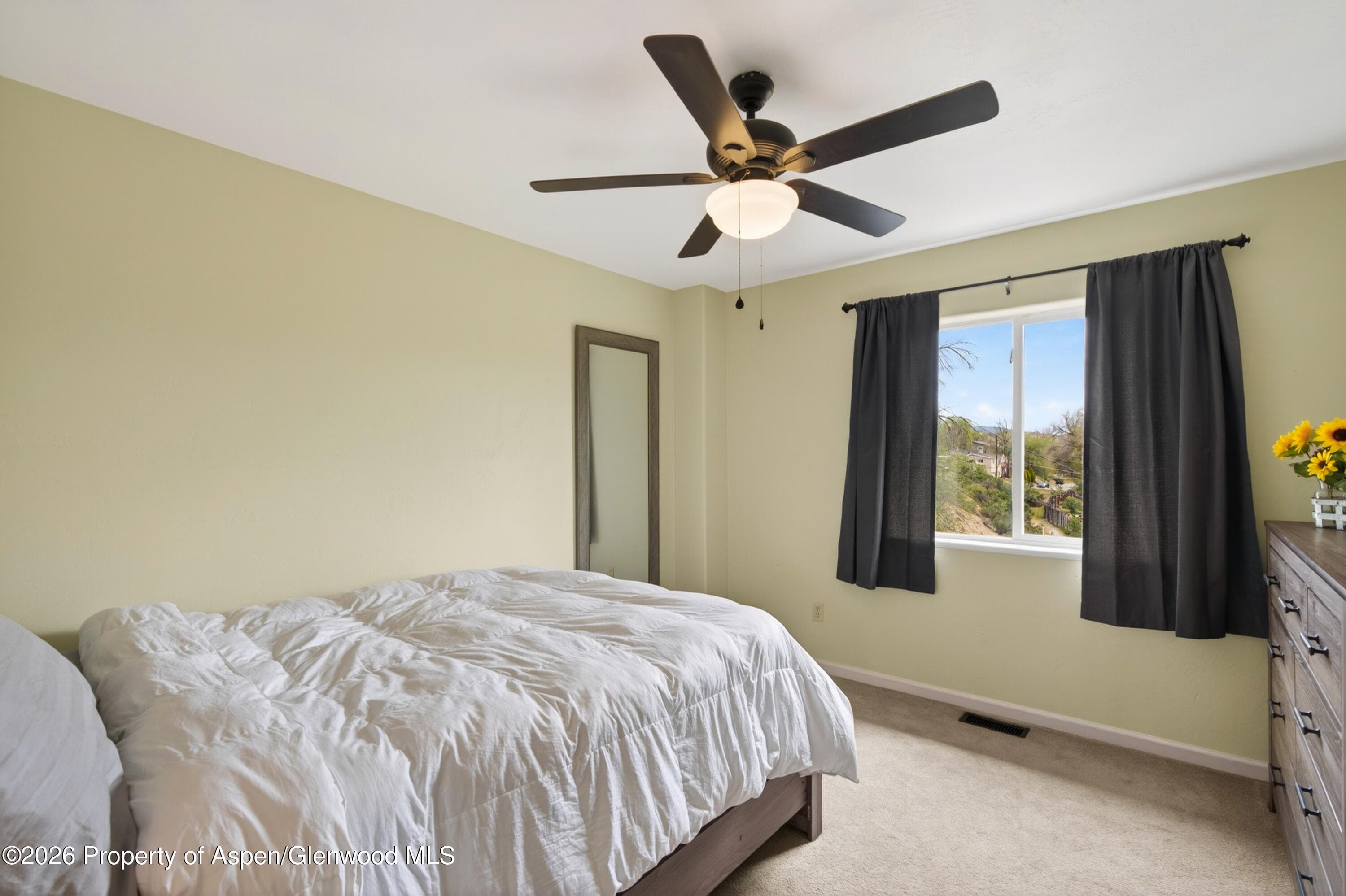 542 N 4th Street, Silt, CO 81652 - Photo 19
