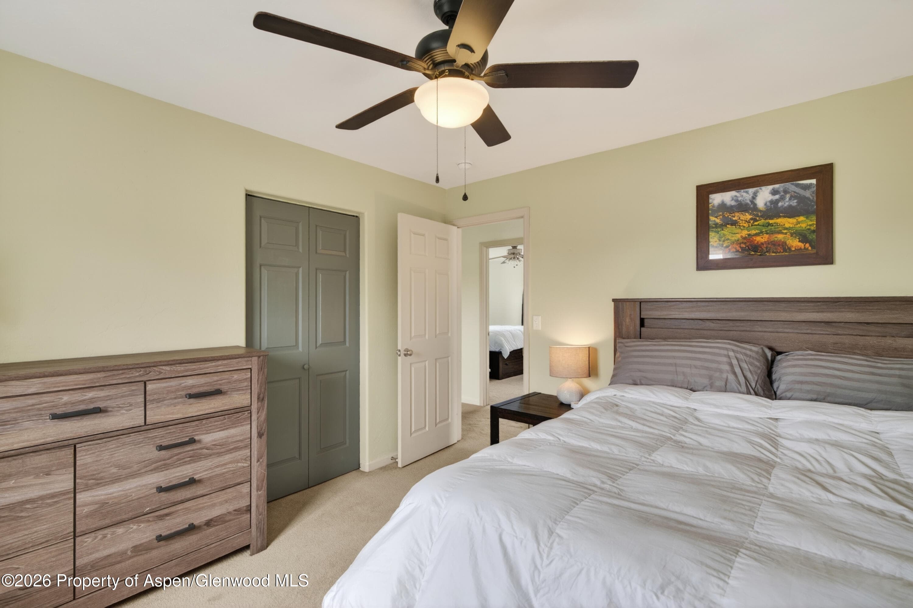 542 N 4th Street, Silt, CO 81652 - Photo 18