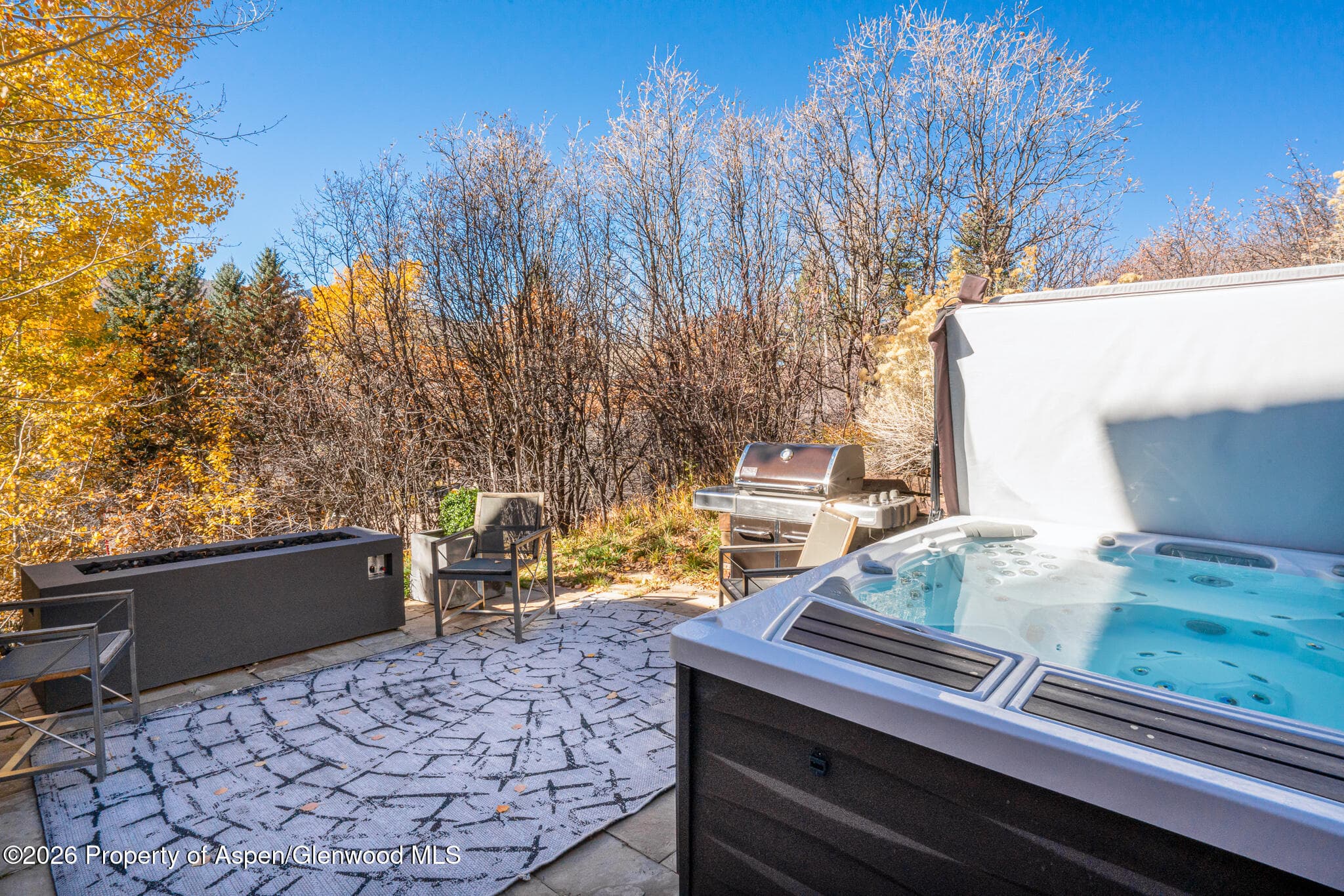 1564 Silver King Drive A, Aspen, CO 81611 - Photo 39