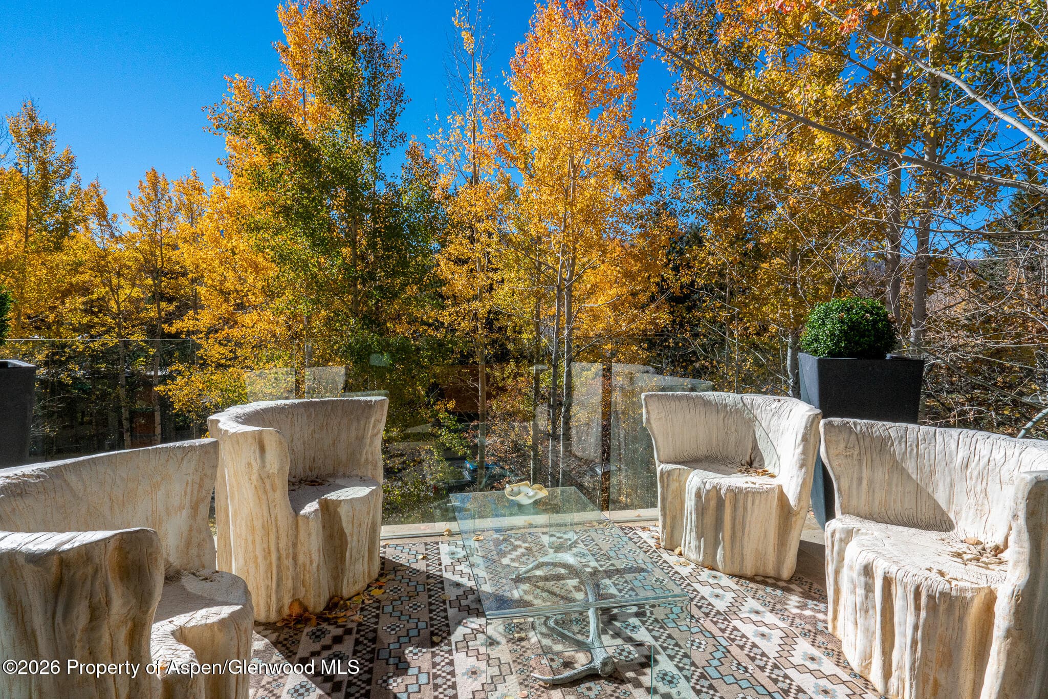 1564 Silver King Drive A, Aspen, CO 81611 - Photo 37
