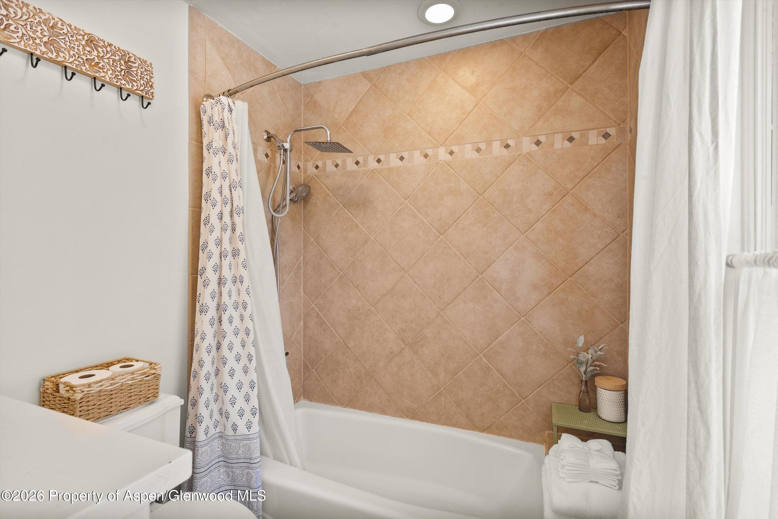 258 Caballo Street, Carbondale, CO 81623 - Photo 25