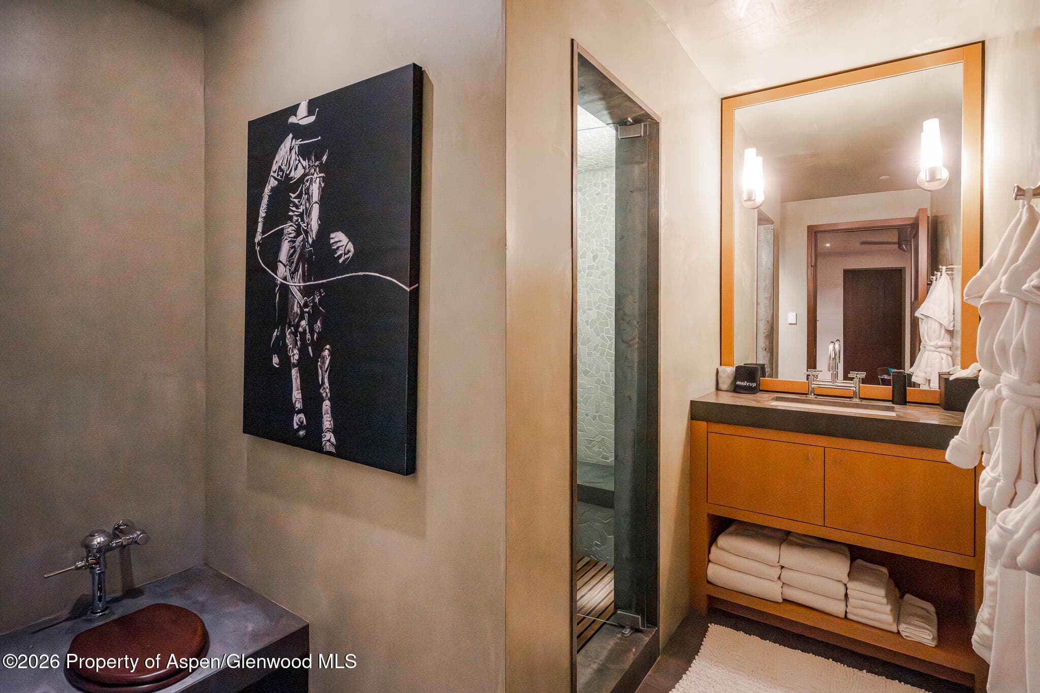 1564 Silver King Drive A, Aspen, CO 81611 - Photo 29