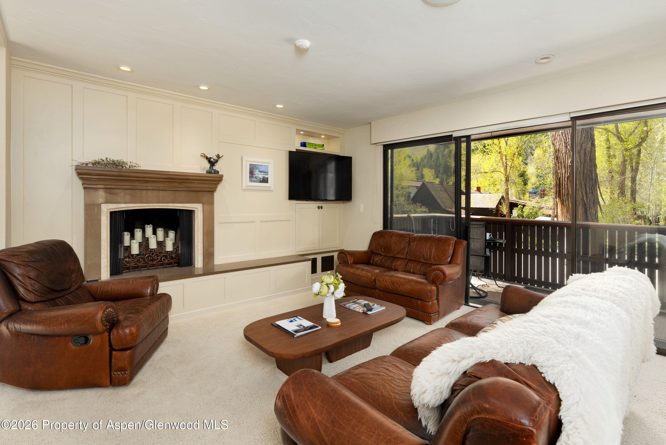 400 W Hopkins Avenue 5, Aspen, CO 81611