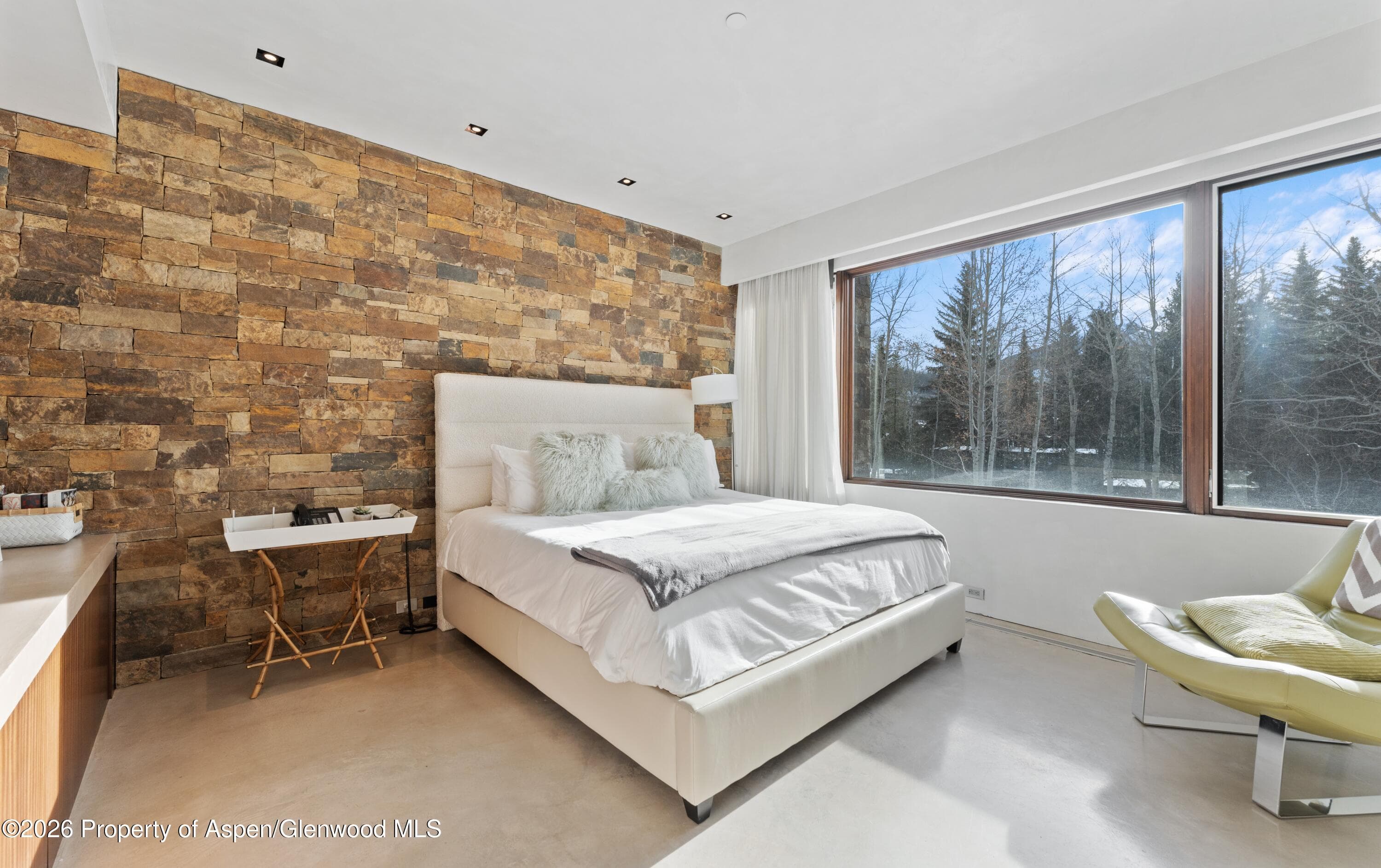 1564 Silver King Drive A, Aspen, CO 81611 - Photo 18