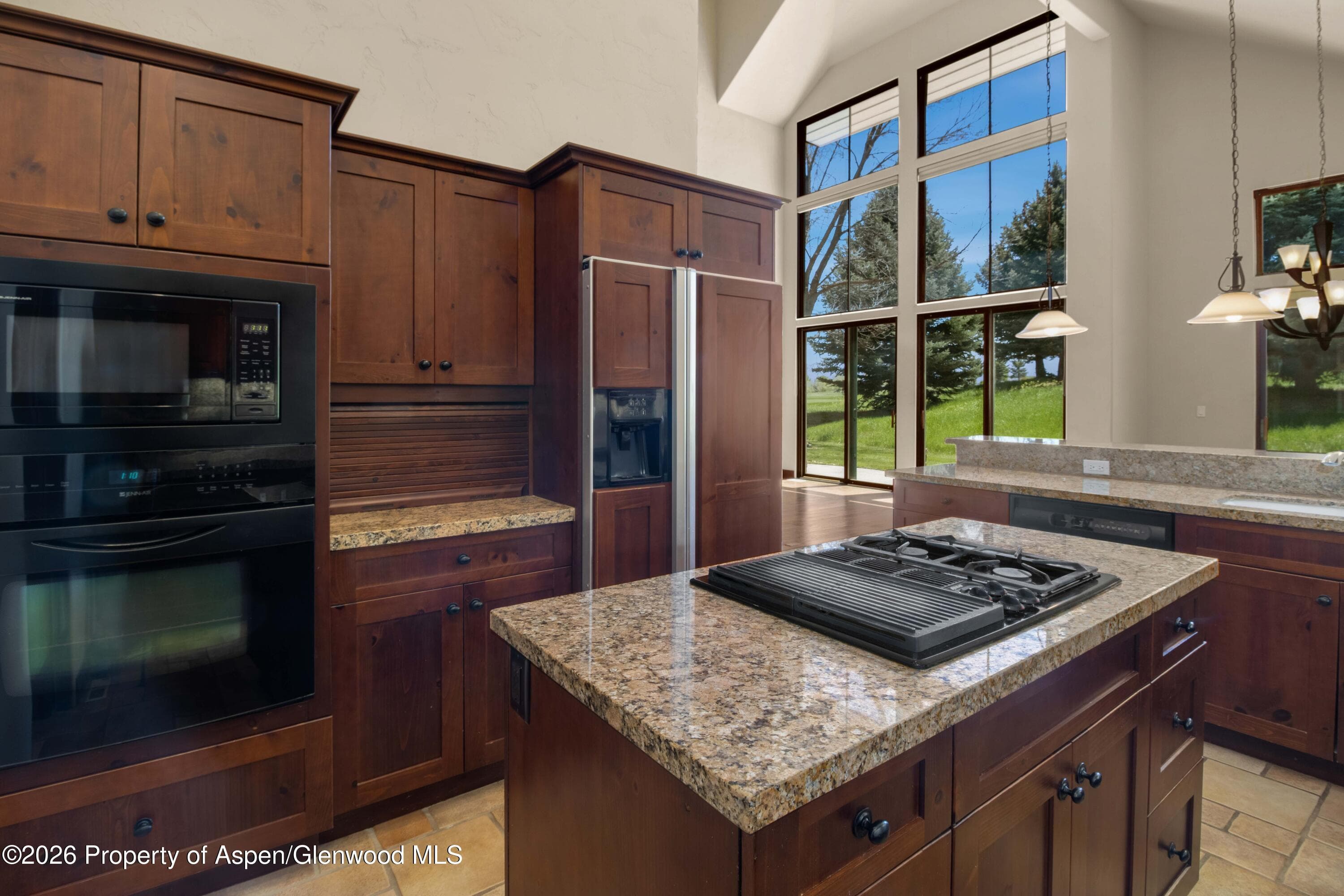 29 Primrose Road, Carbondale, CO 81623 - Photo 14