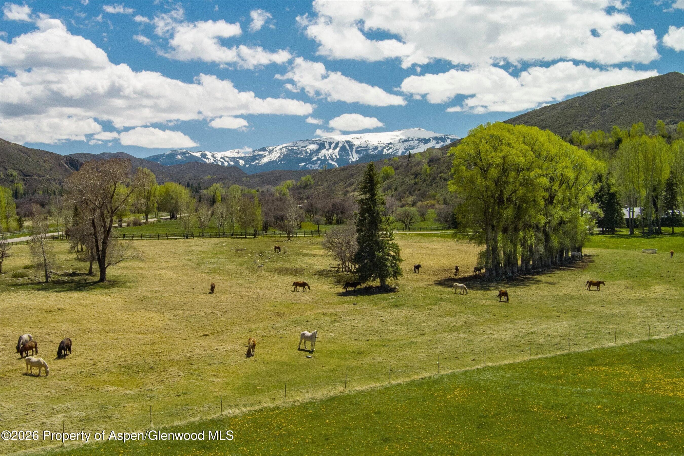 3333 Snowmass Creek Road, Snowmass, CO 81654 - Photo 4