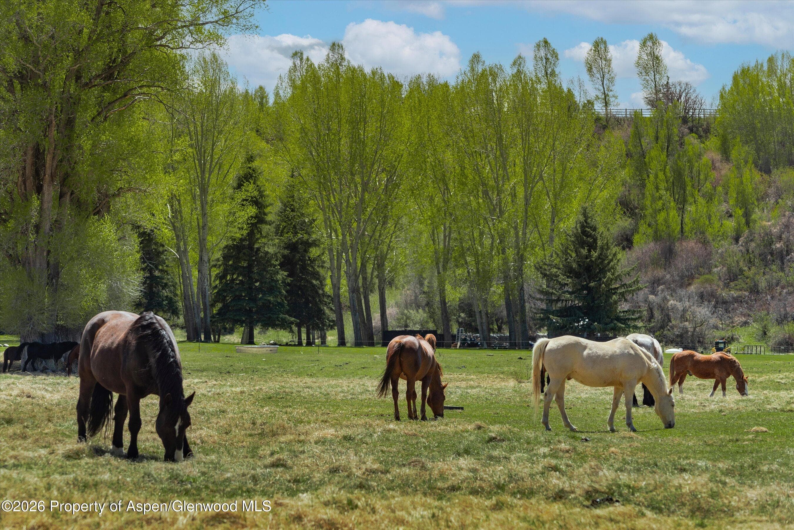 3333 Snowmass Creek Road, Snowmass, CO 81654 - Photo 43