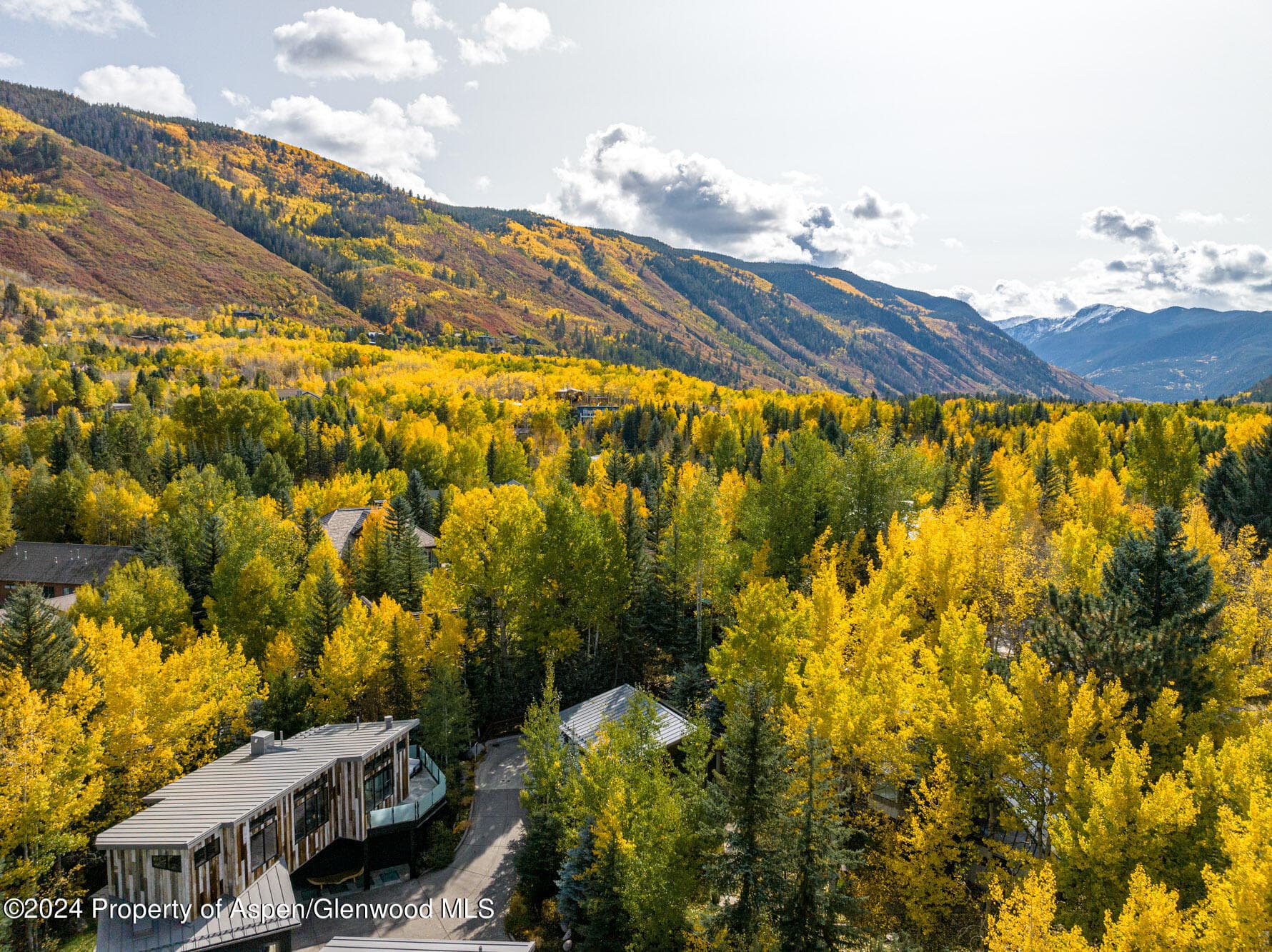 1190 Riverside Drive, Aspen, CO 81611 - Photo 29