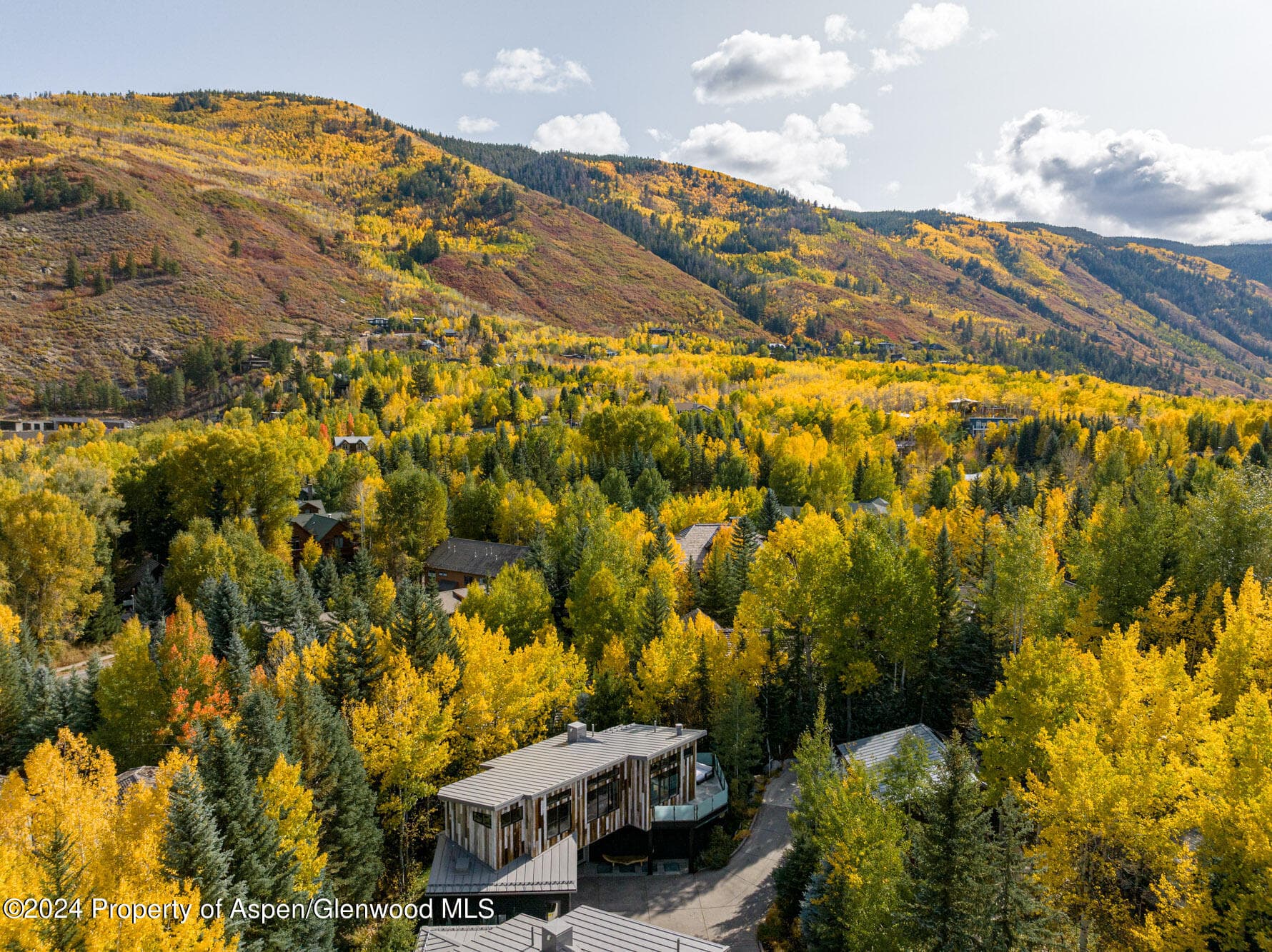 1190 Riverside Drive, Aspen, CO 81611 - Photo 31