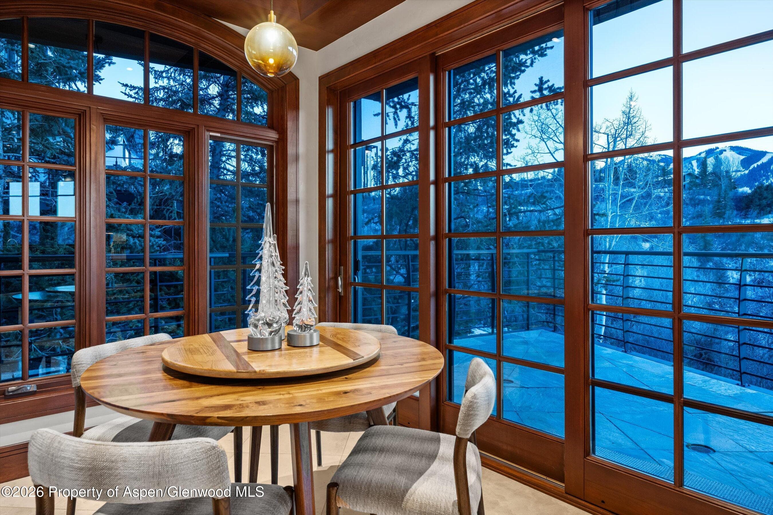 294 Draw Drive, Aspen, CO 81611 - Photo 15