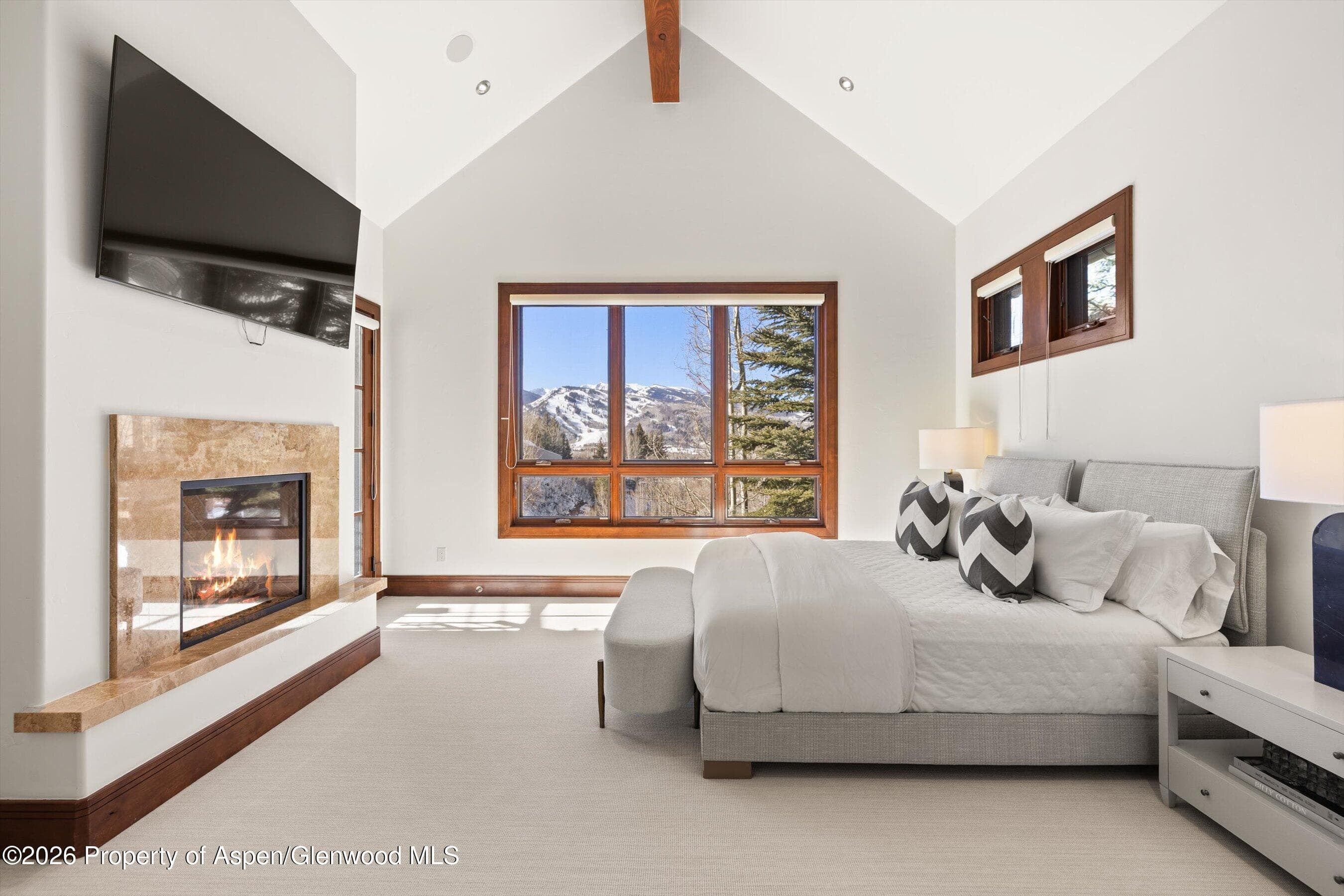 294 Draw Drive, Aspen, CO 81611 - Photo 27