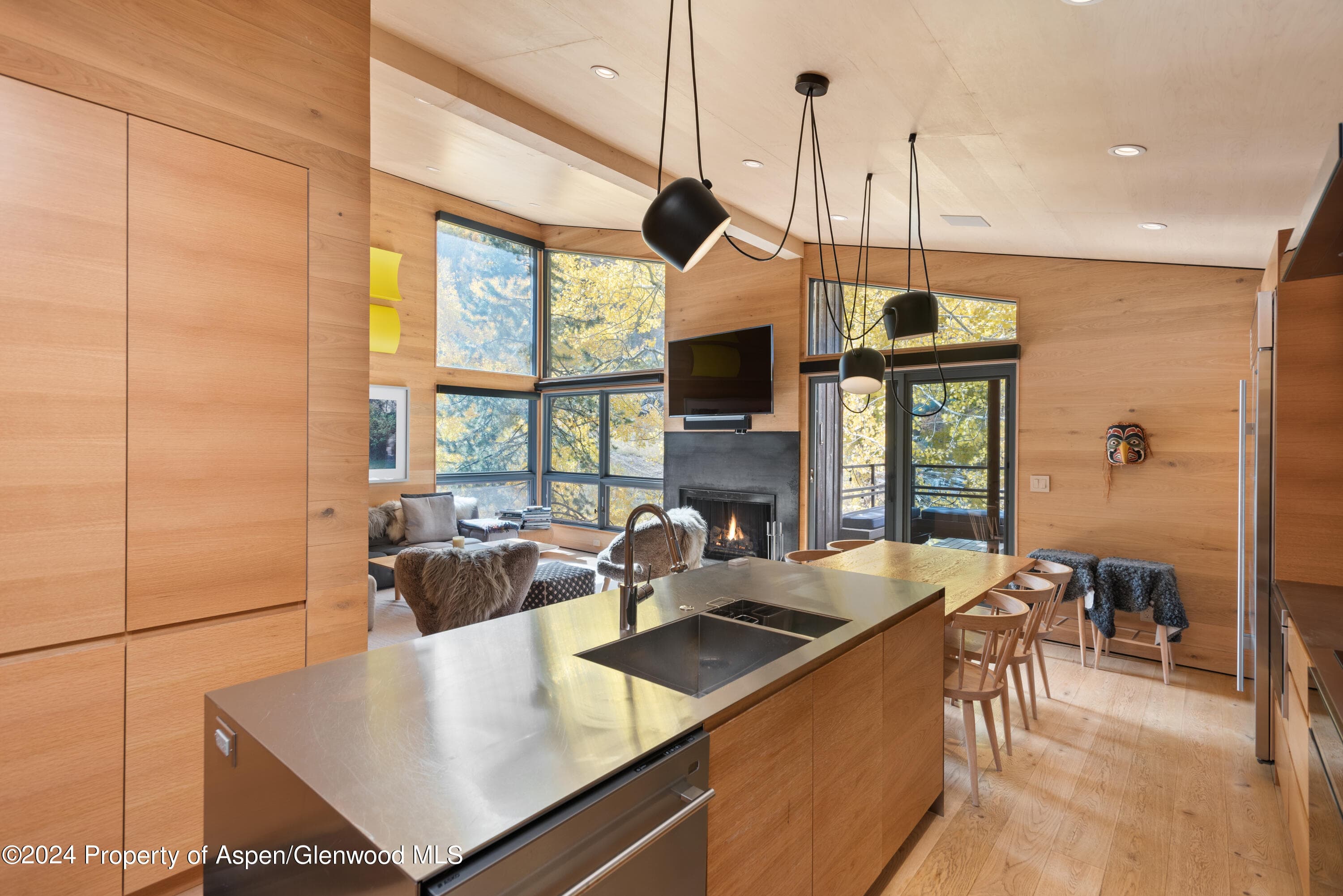 800 S Monarch Street Unit 9, Aspen, CO 81611 - Photo 11