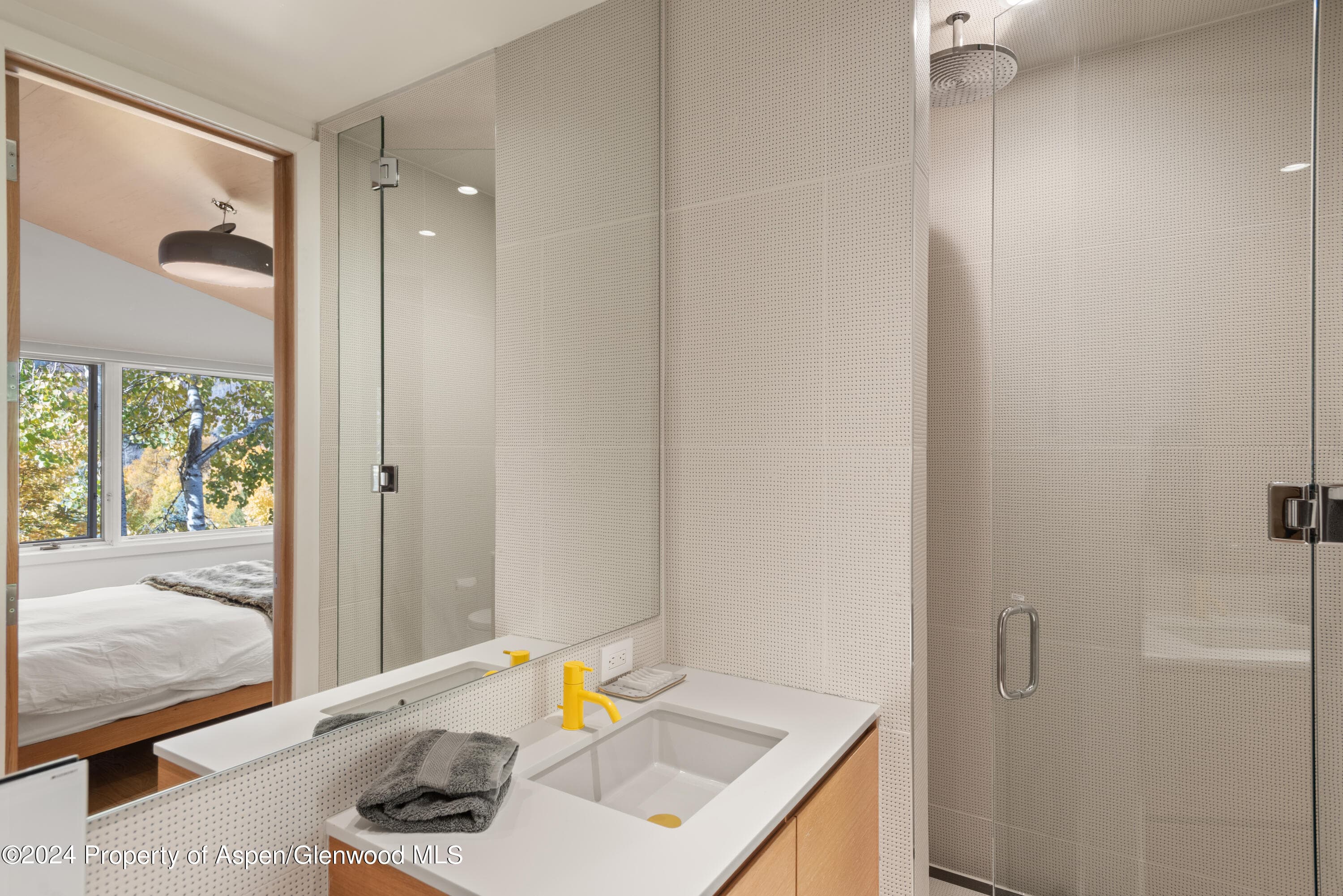 800 S Monarch Street Unit 9, Aspen, CO 81611 - Photo 15