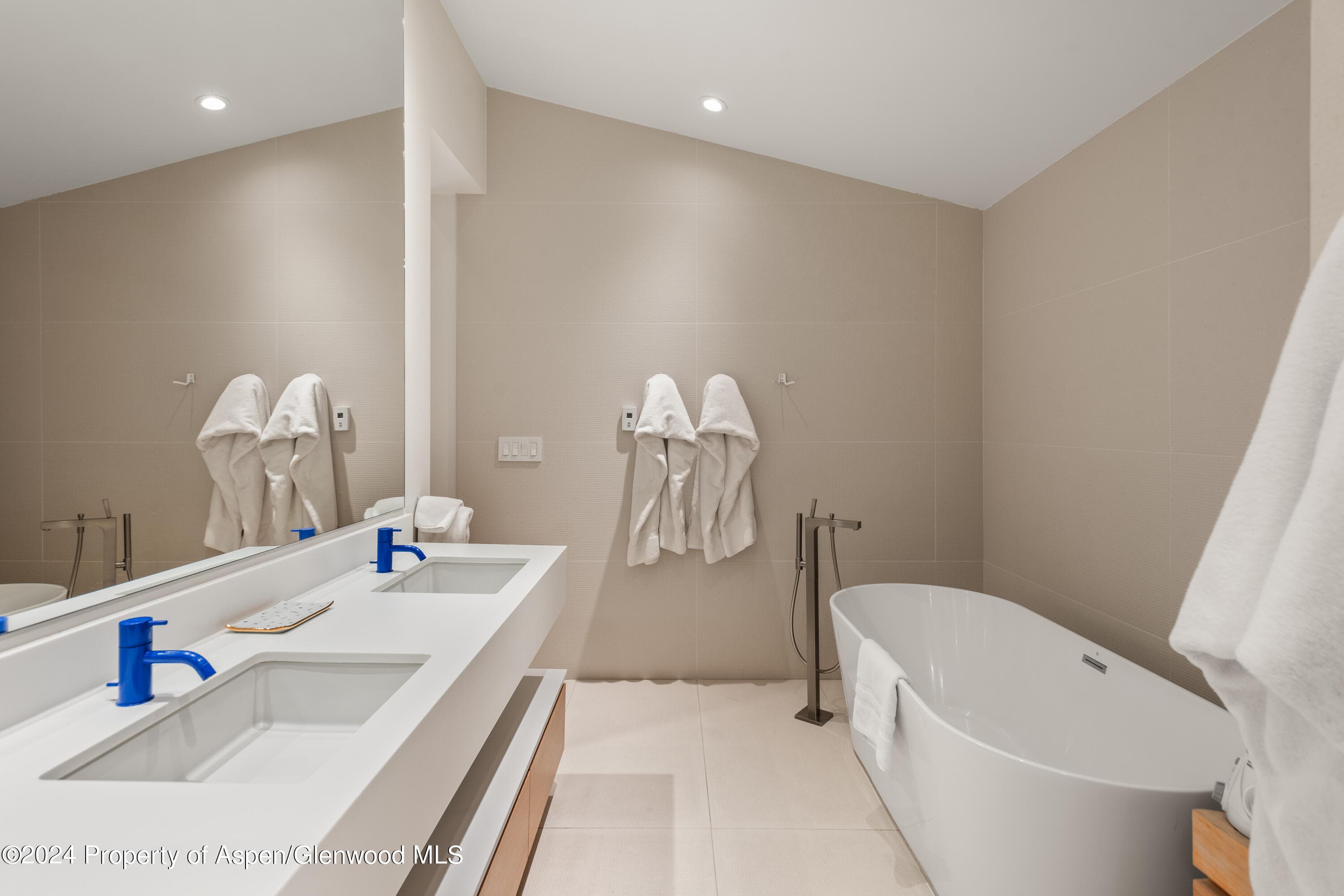800 S Monarch Street Unit 9, Aspen, CO 81611 - Photo 19