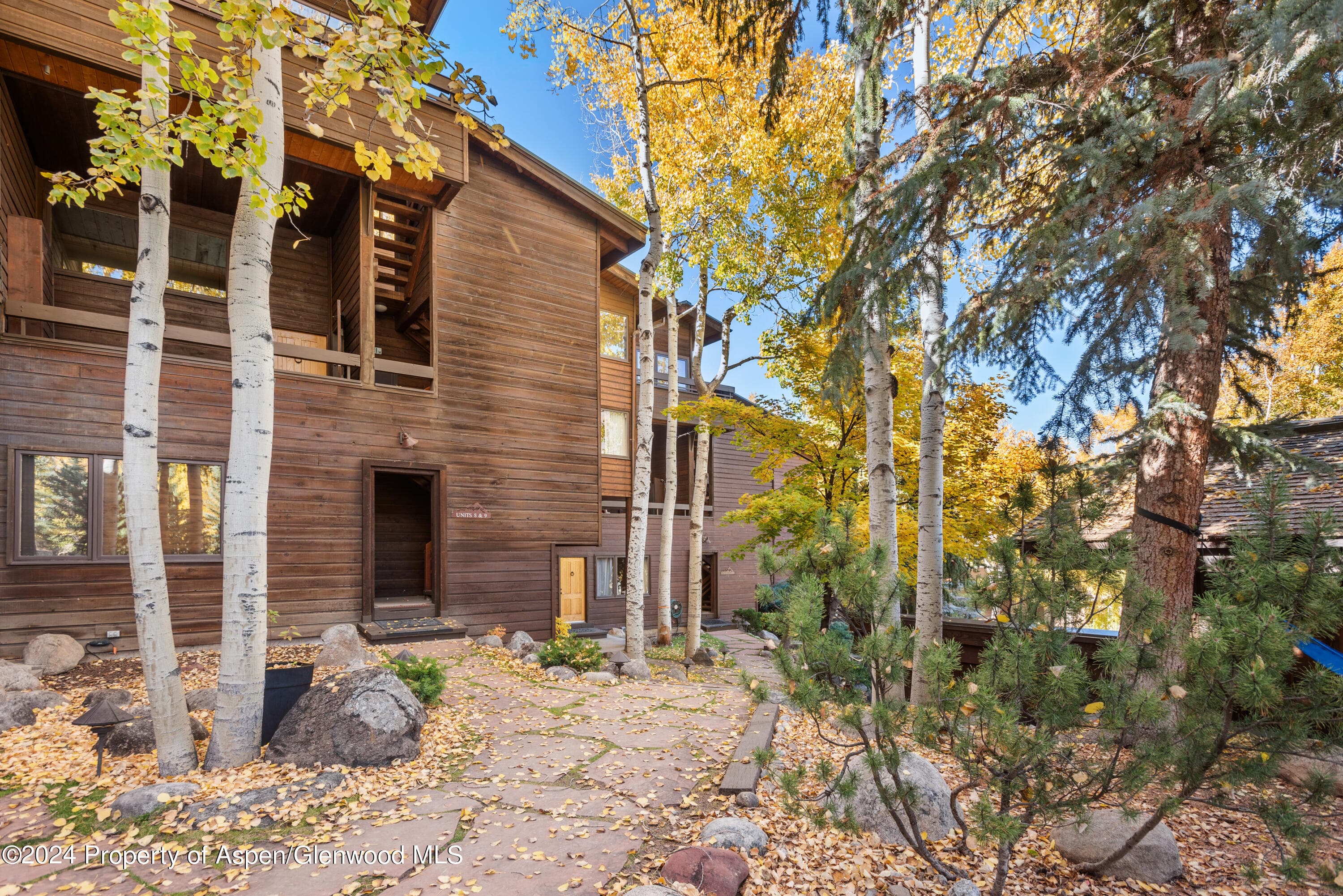 800 S Monarch Street Unit 9, Aspen, CO 81611 - Photo 23