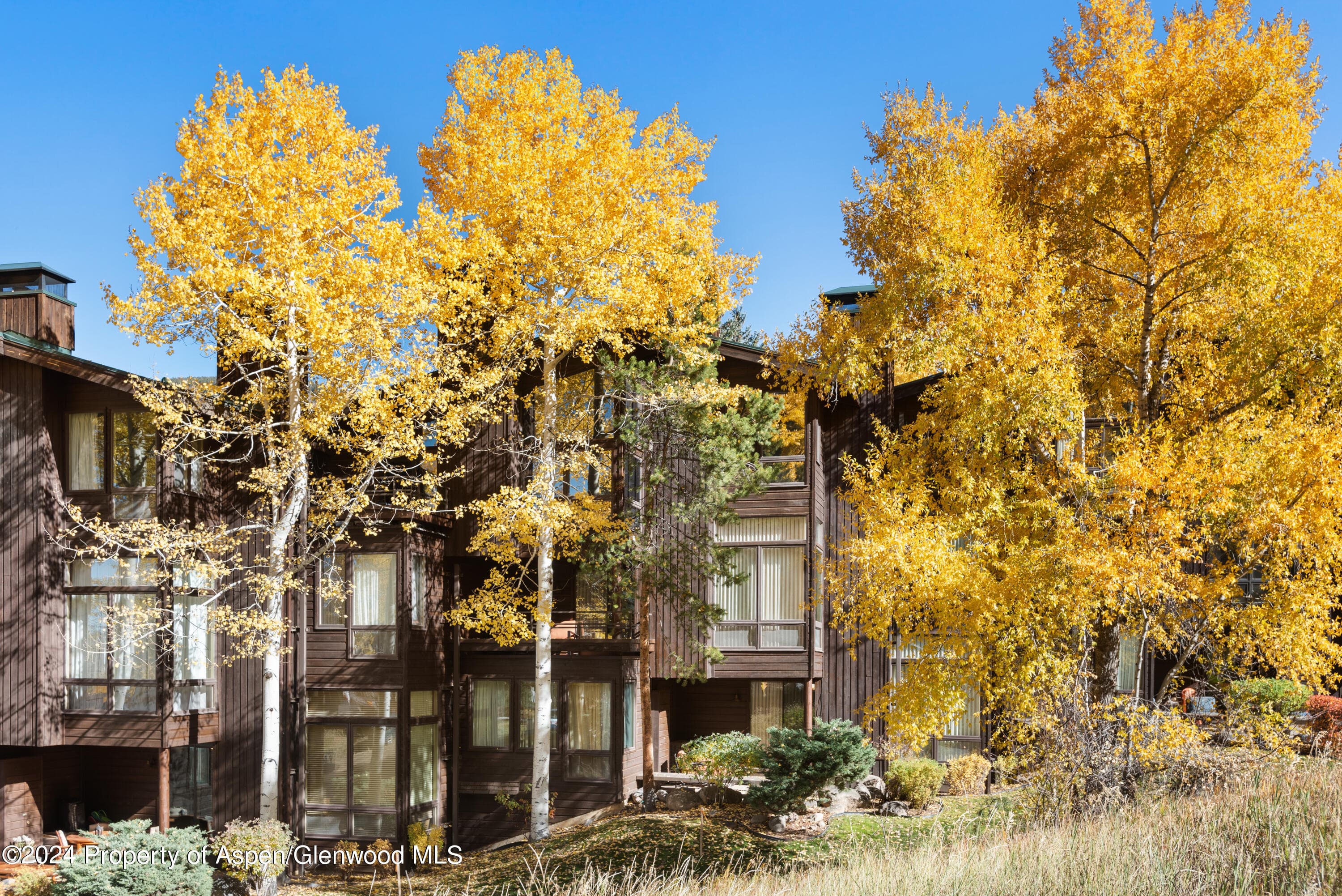 800 S Monarch Street Unit 9, Aspen, CO 81611 - Photo 25