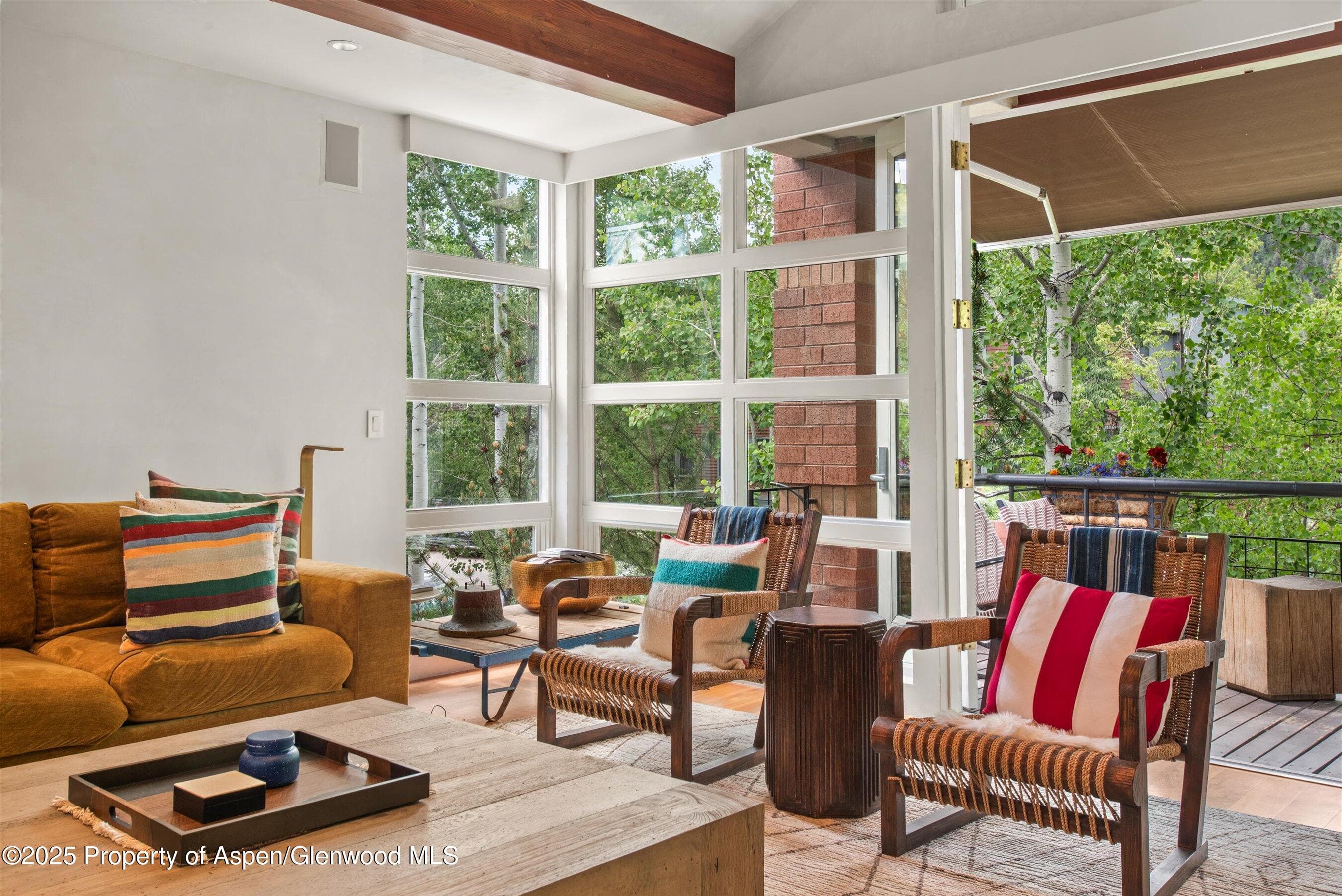 706 E Hyman Avenue, Aspen, CO 81611 - Photo 5