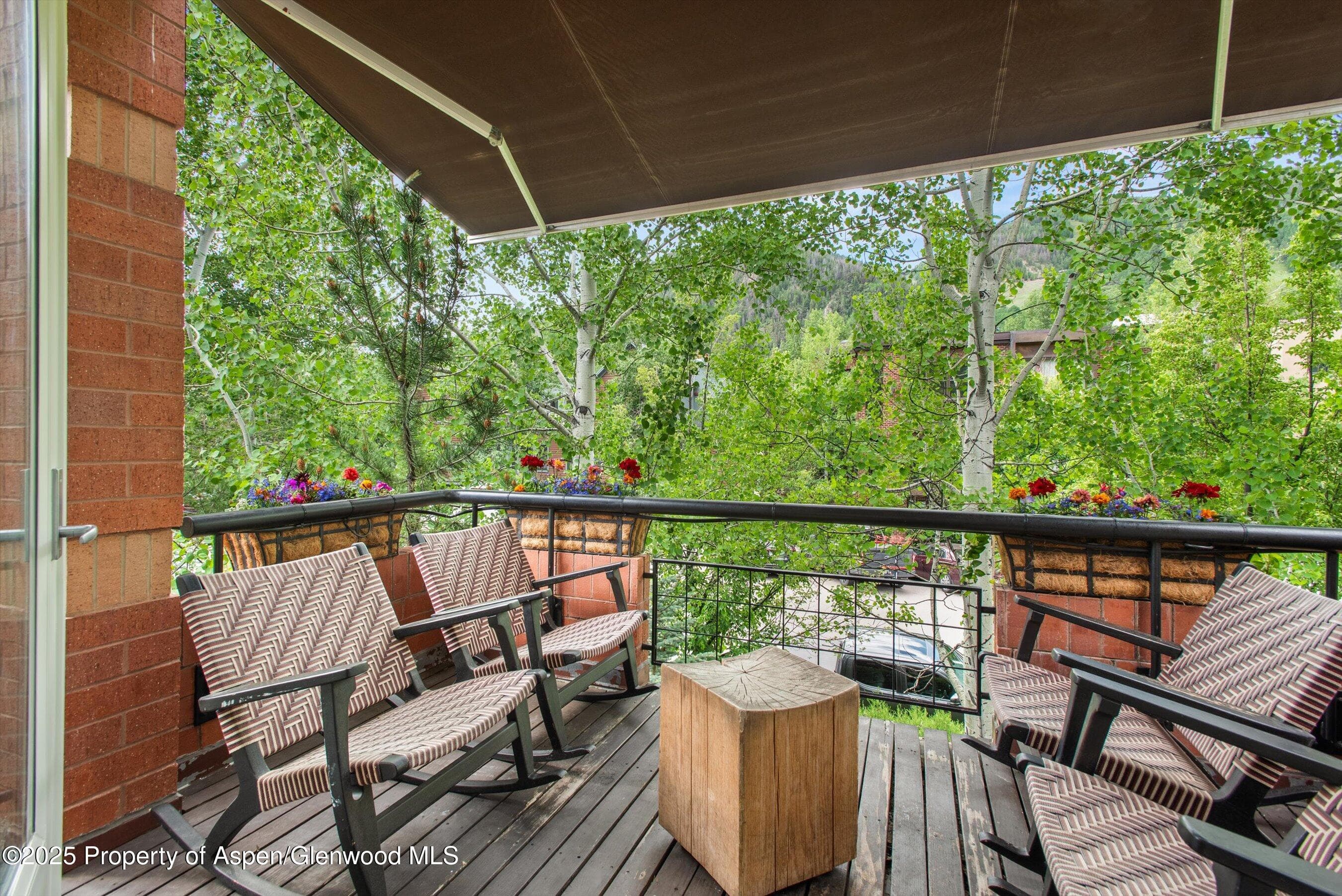 706 E Hyman Avenue, Aspen, CO 81611 - Photo 6