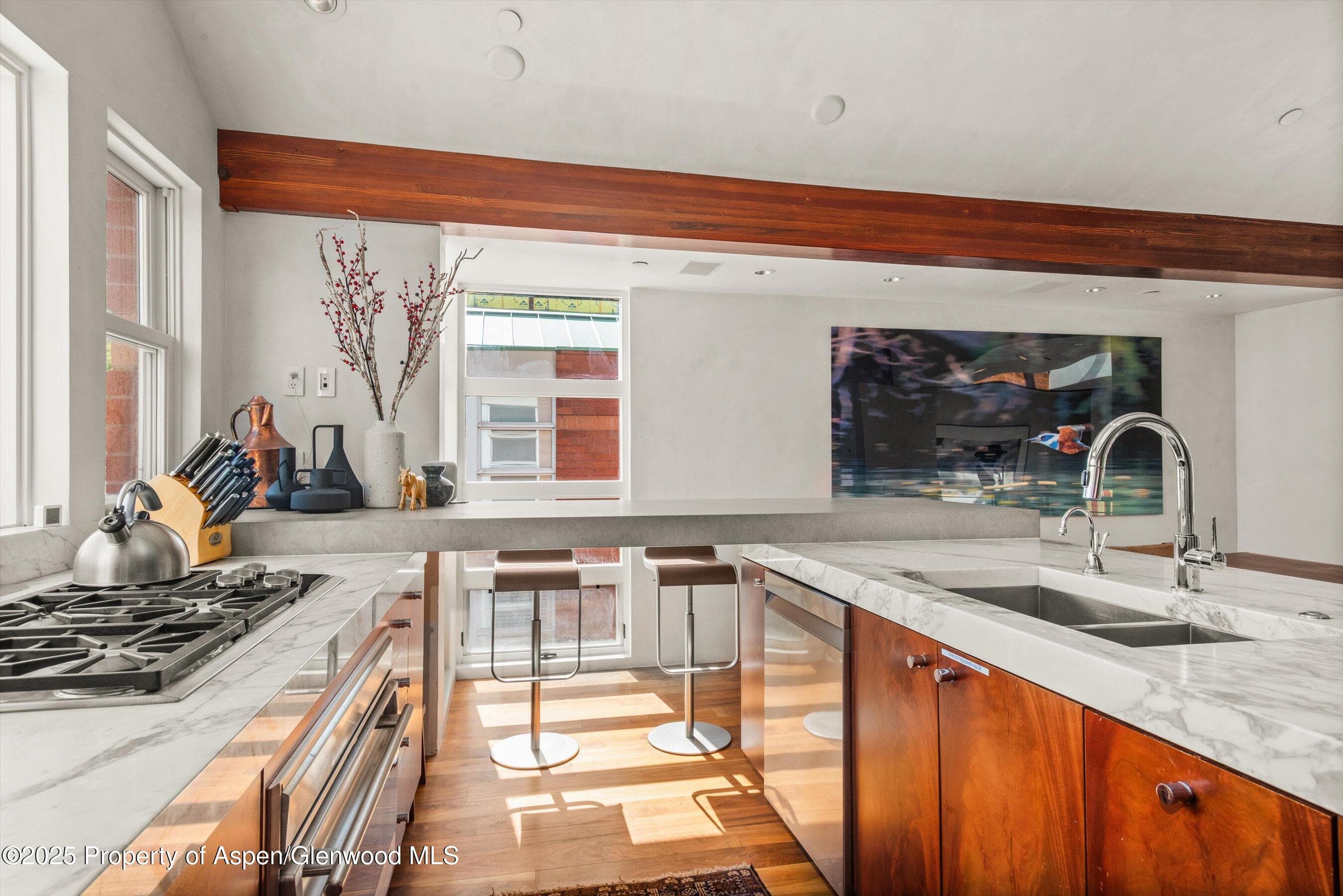 706 E Hyman Avenue, Aspen, CO 81611 - Photo 18