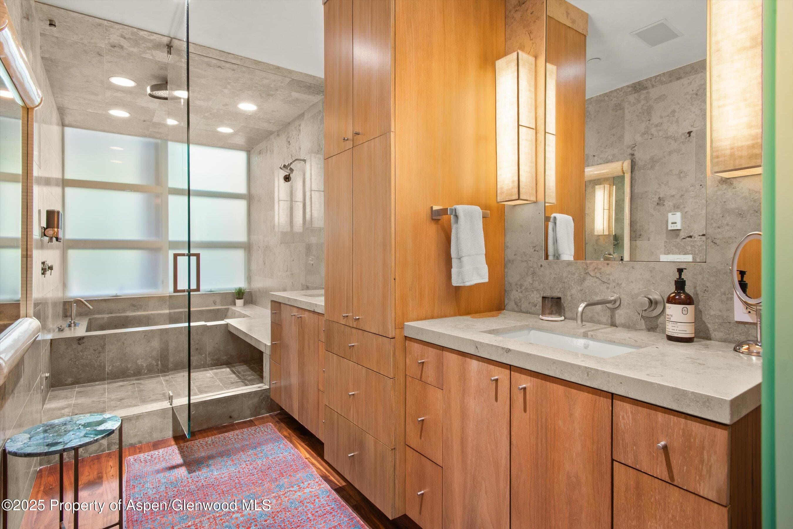 706 E Hyman Avenue, Aspen, CO 81611 - Photo 27