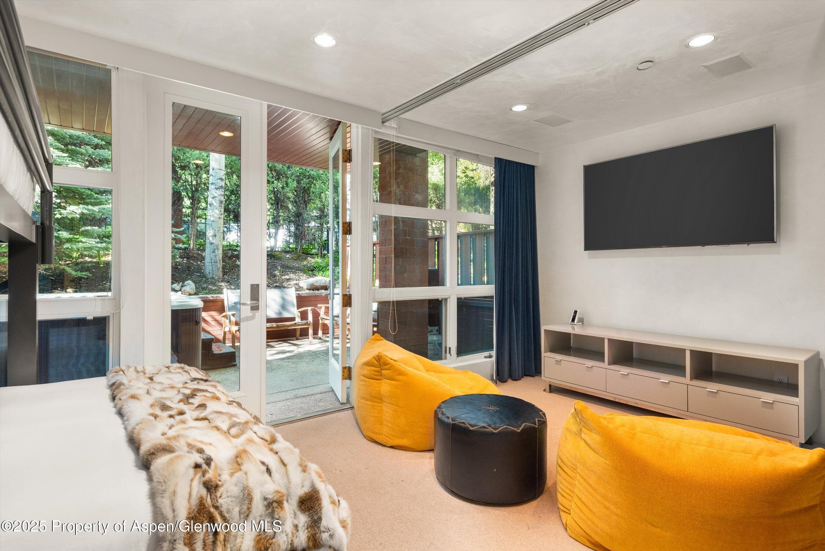 706 E Hyman Avenue, Aspen, CO 81611 - Photo 33