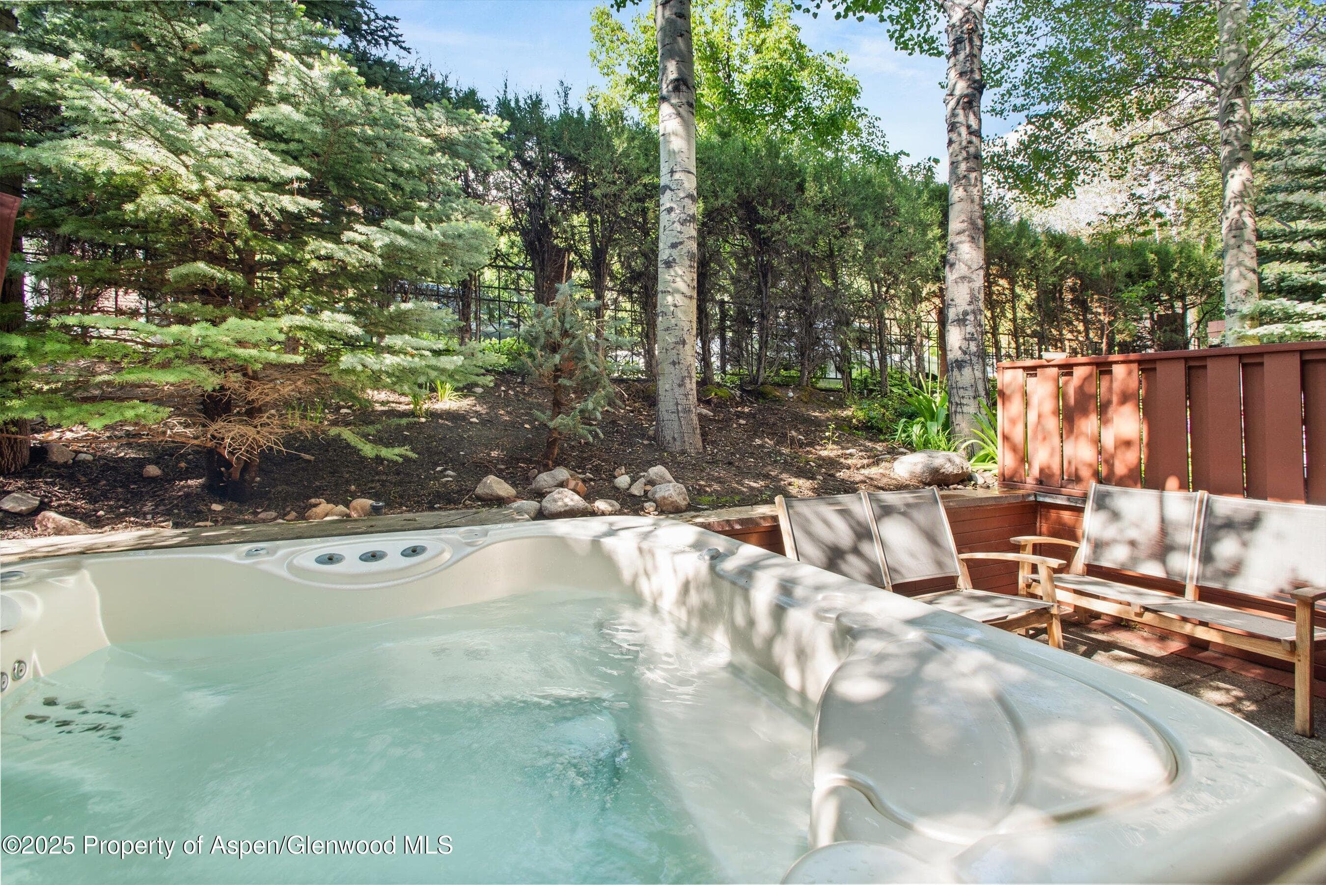 706 E Hyman Avenue, Aspen, CO 81611 - Photo 36