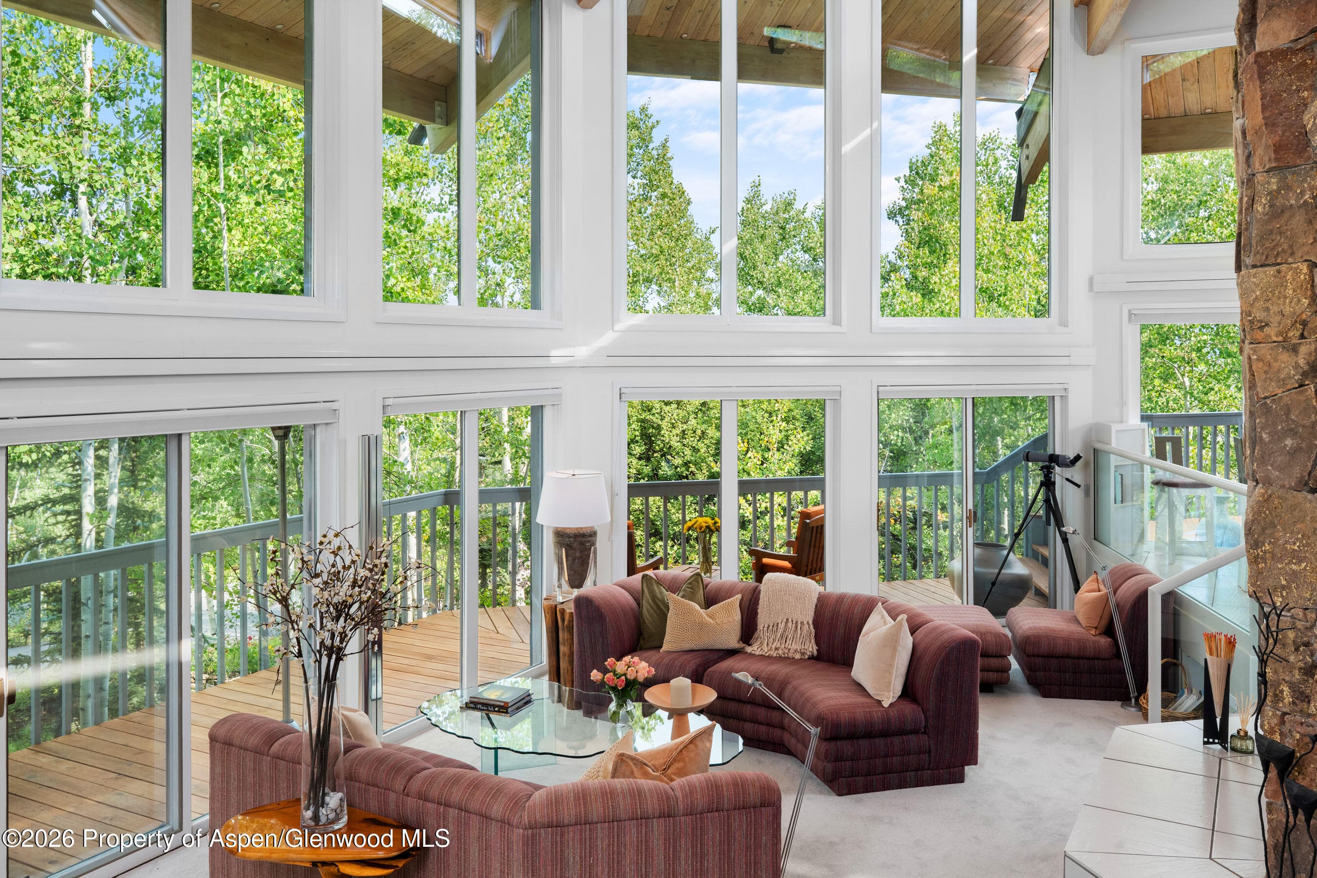 239 Antler Ridge Lane, Snowmass Village, CO 81615 - Photo 4