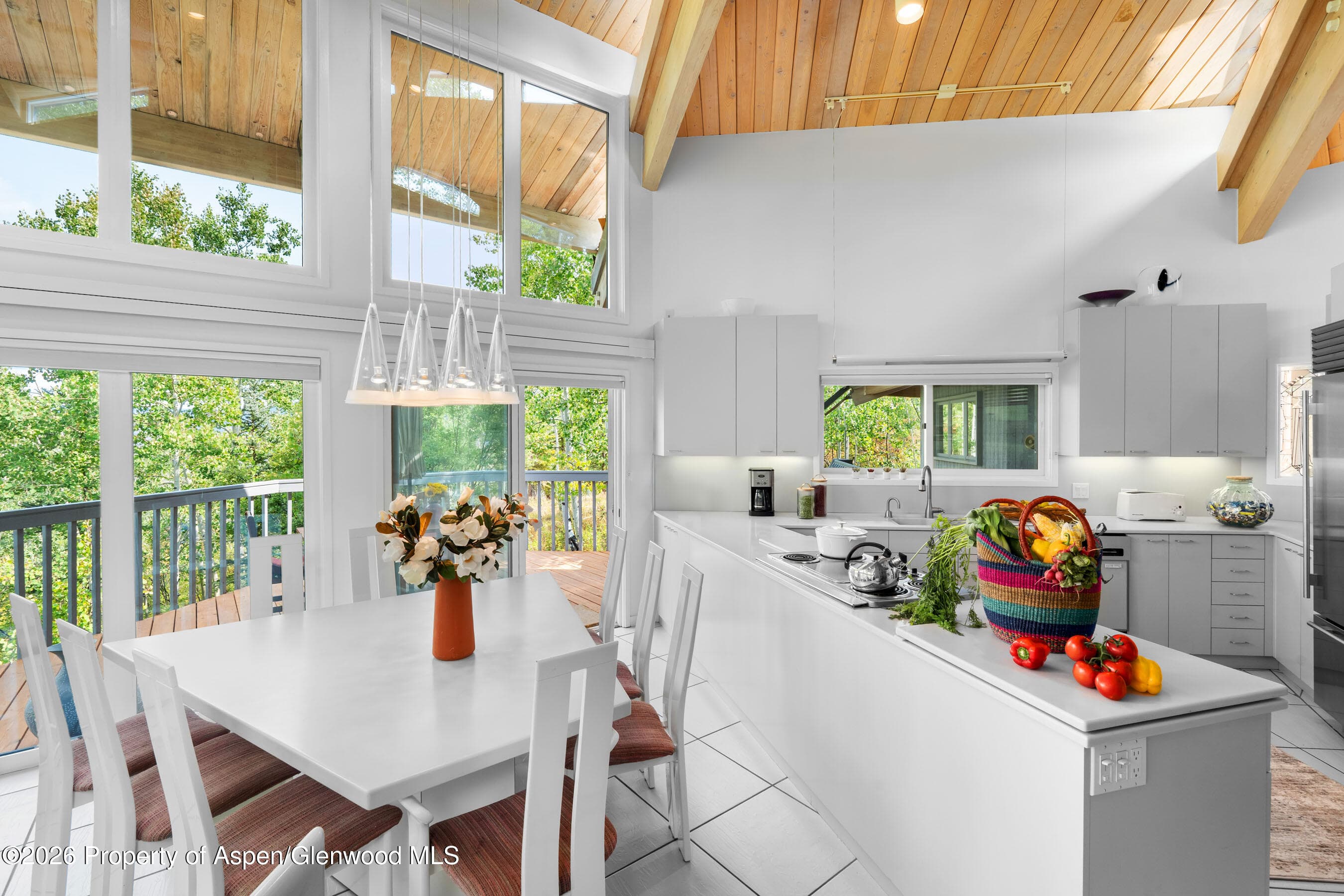 239 Antler Ridge Lane, Snowmass Village, CO 81615 - Photo 8