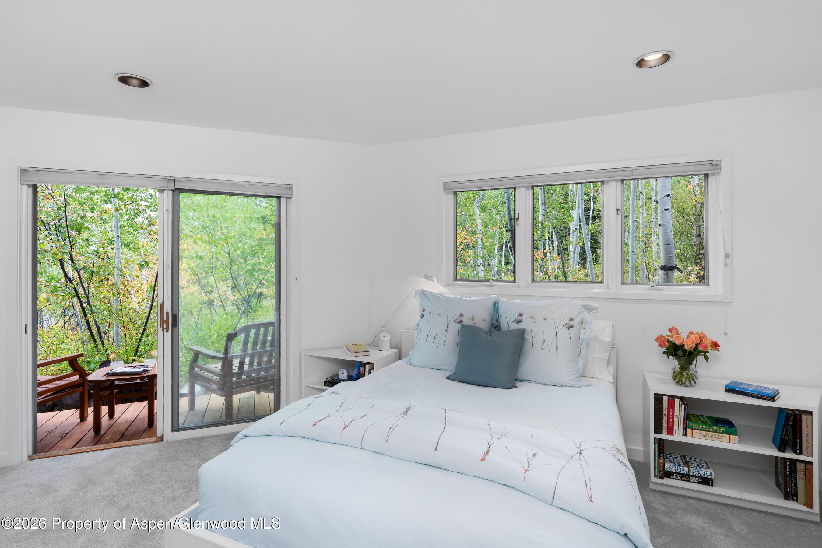 239 Antler Ridge Lane, Snowmass Village, CO 81615 - Photo 16