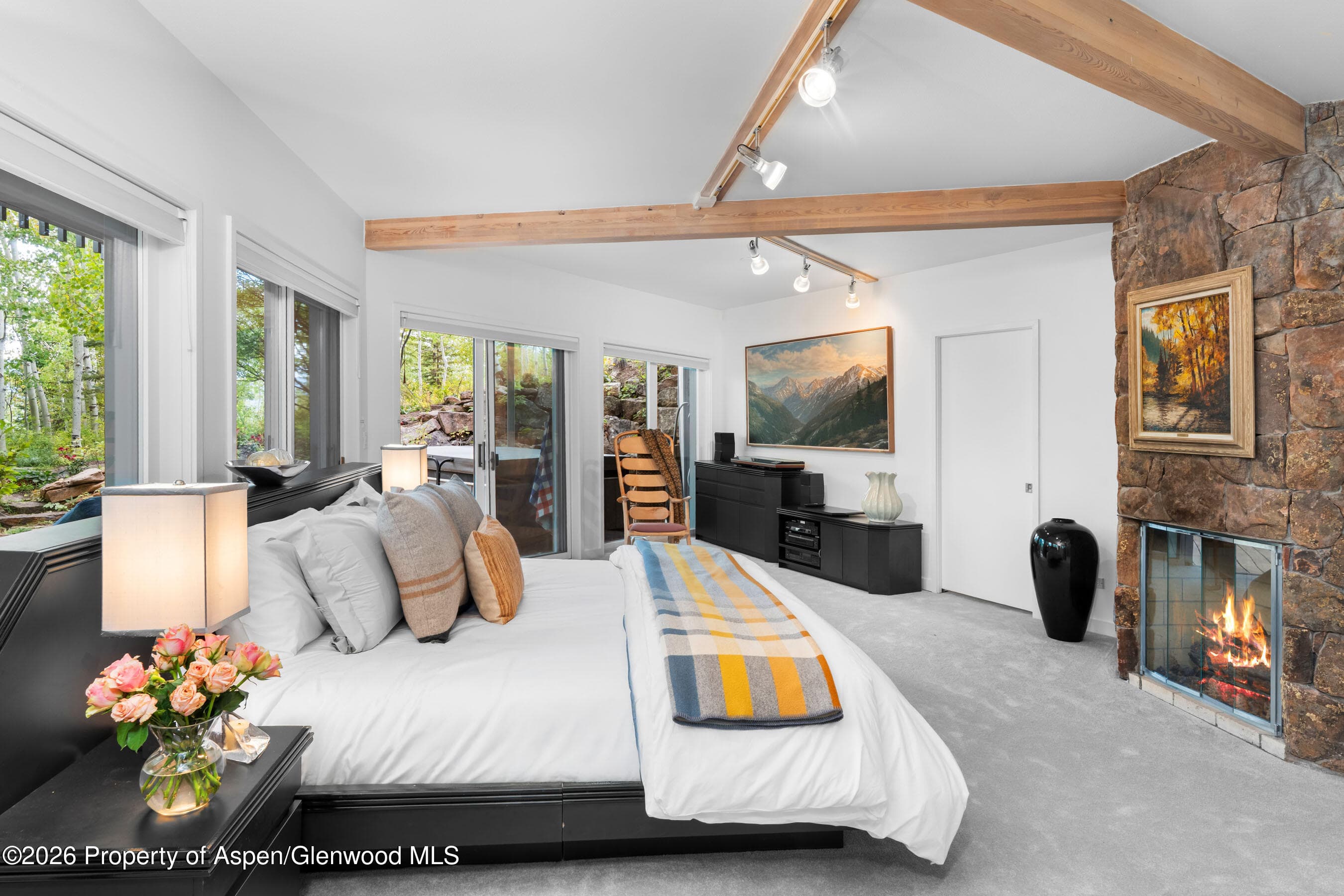 239 Antler Ridge Lane, Snowmass Village, CO 81615 - Photo 14