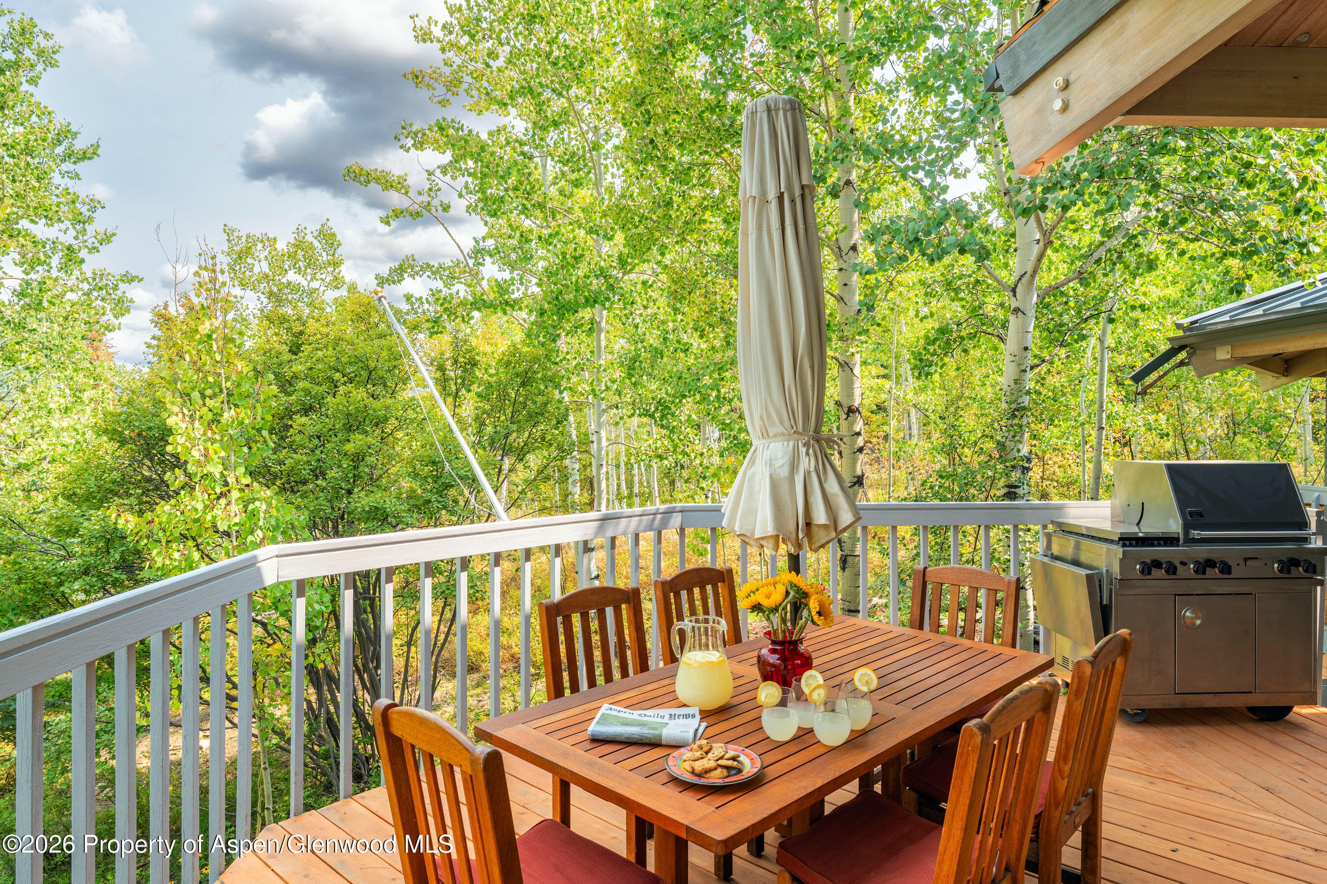 239 Antler Ridge Lane, Snowmass Village, CO 81615 - Photo 24