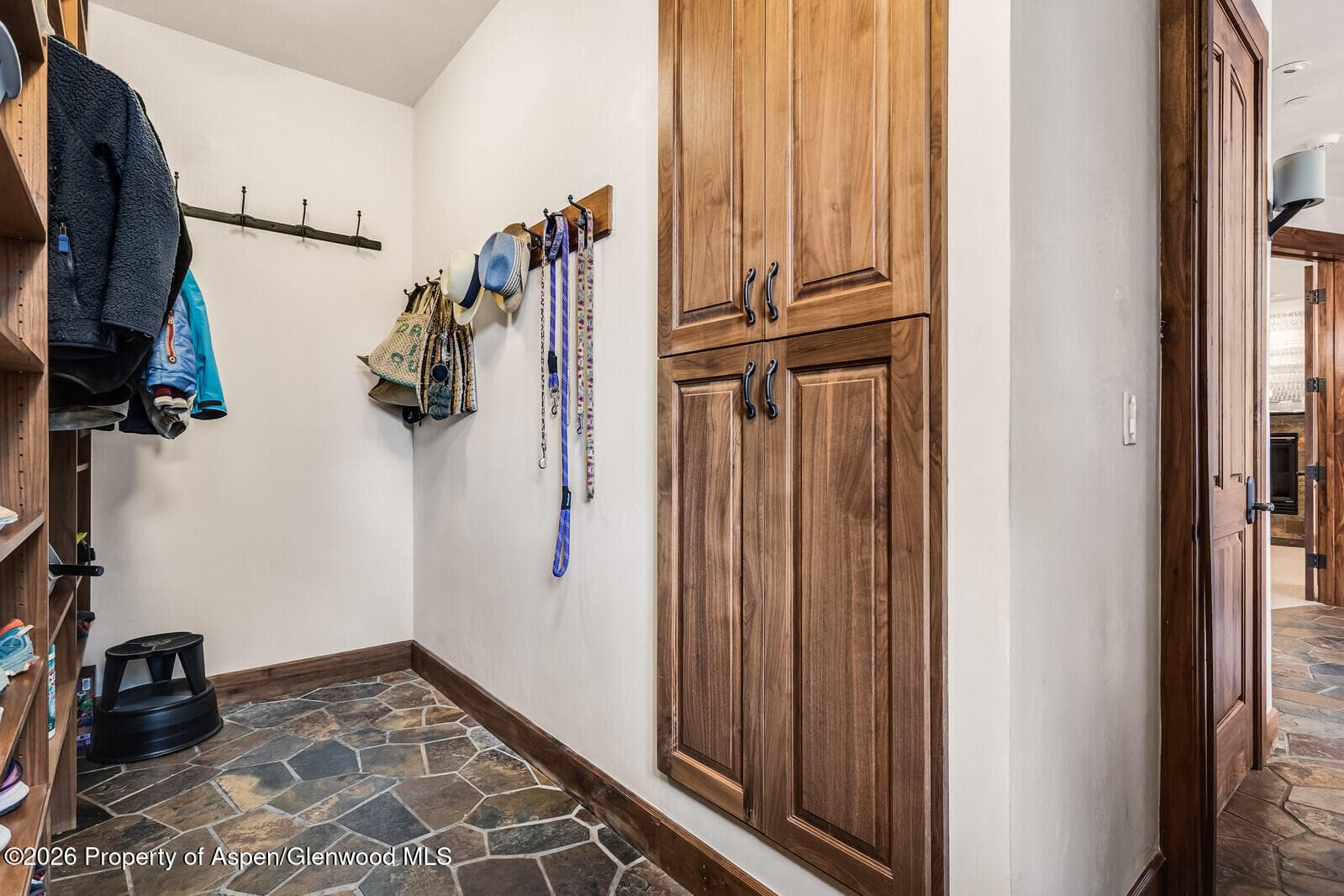 1354 Sierra Vista Drive, Aspen, CO 81611 - Photo 58