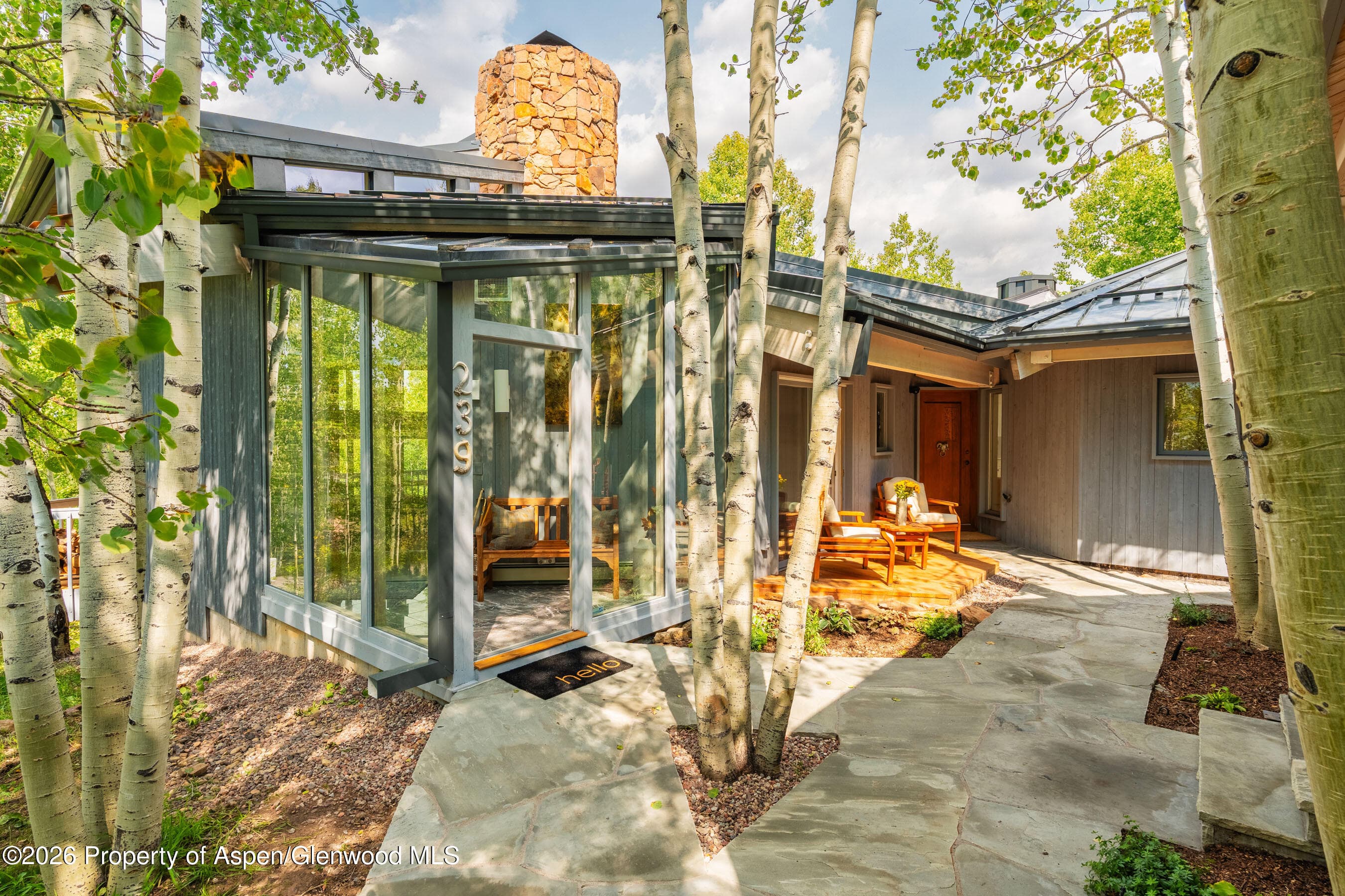 239 Antler Ridge Lane, Snowmass Village, CO 81615 - Photo 23